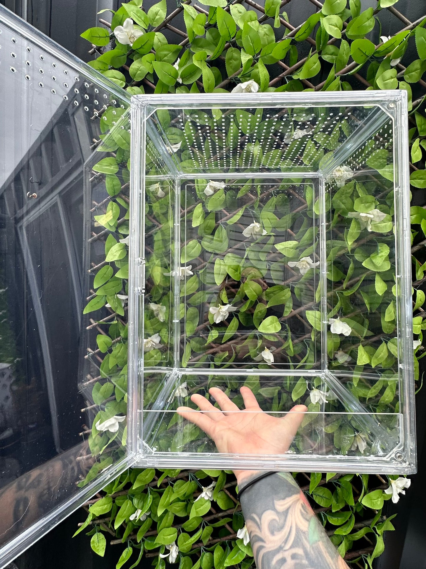 Arboreal X-Large Enclosure