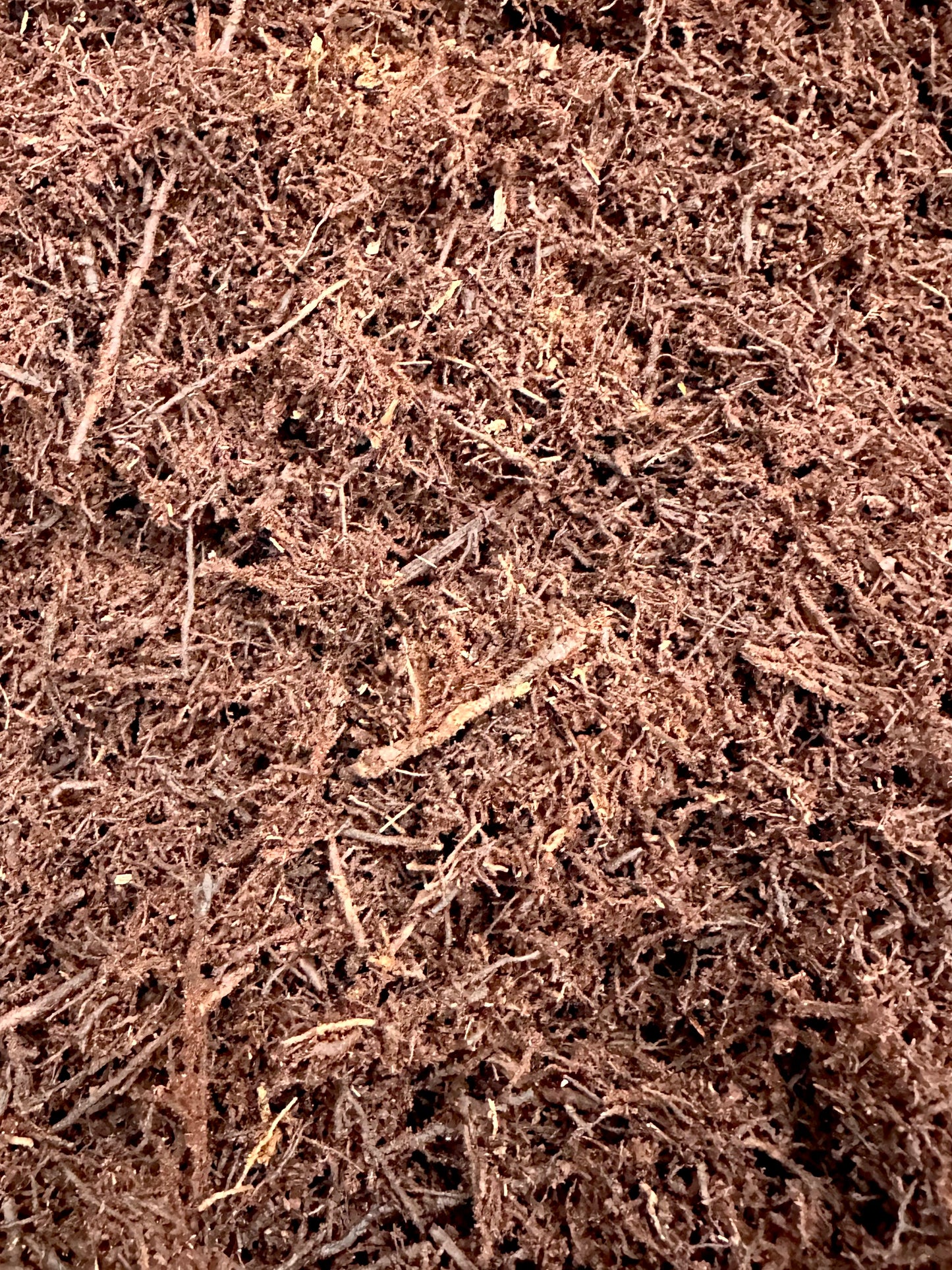 Tree Fern Fiber - Maddwoods