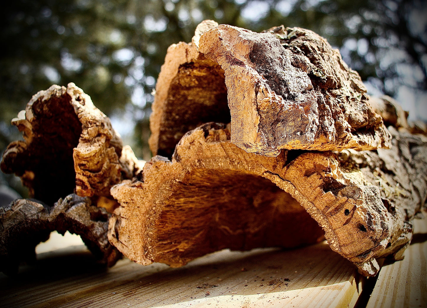 Cork Bark Half Rounds