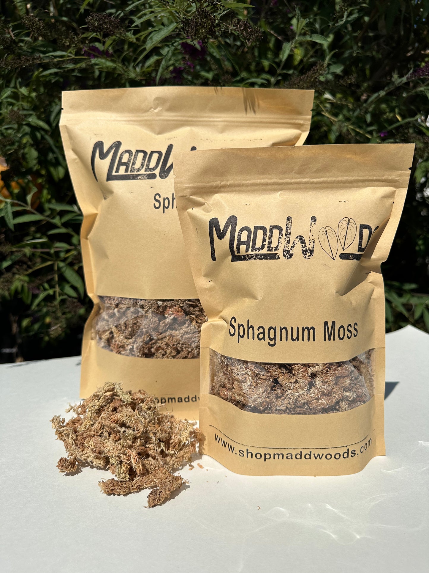 Sphagnum Moss