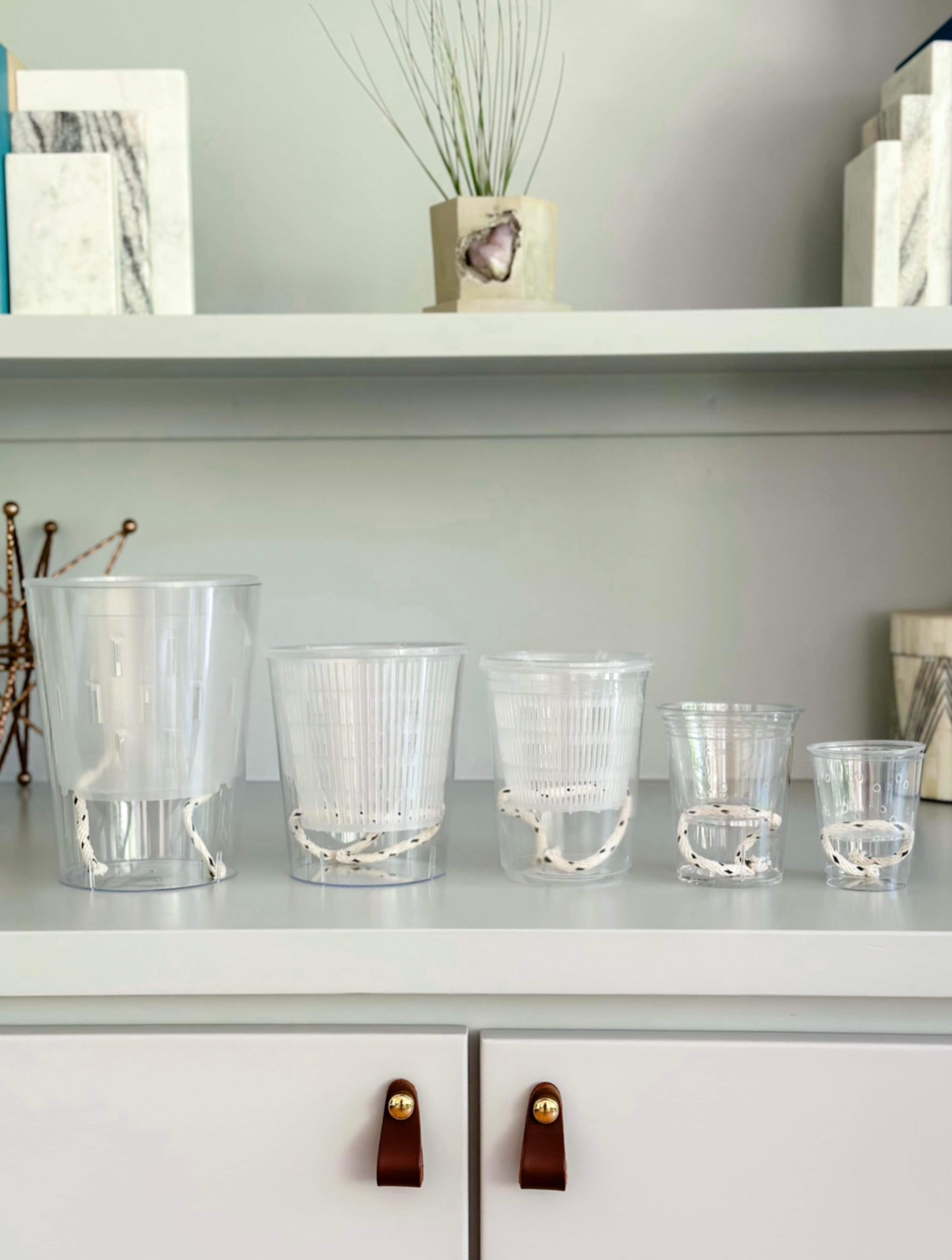 Clear Self Watering Pots