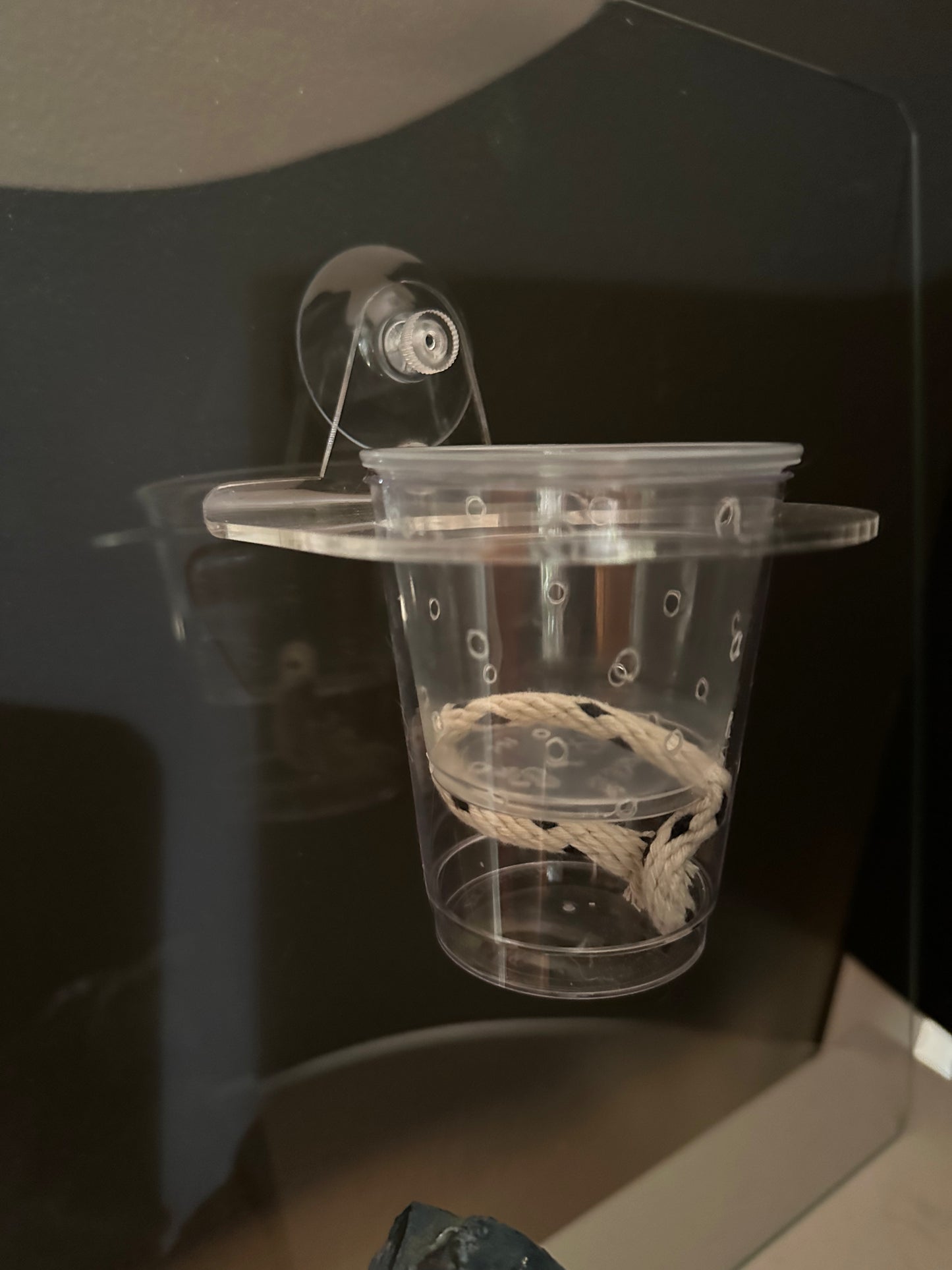 Suction Cup Round Pot Holders - Maddwoods