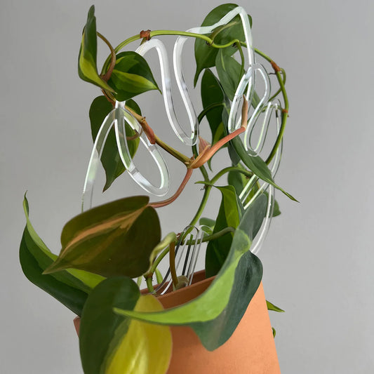 Leaf Trellis - Maddwoods