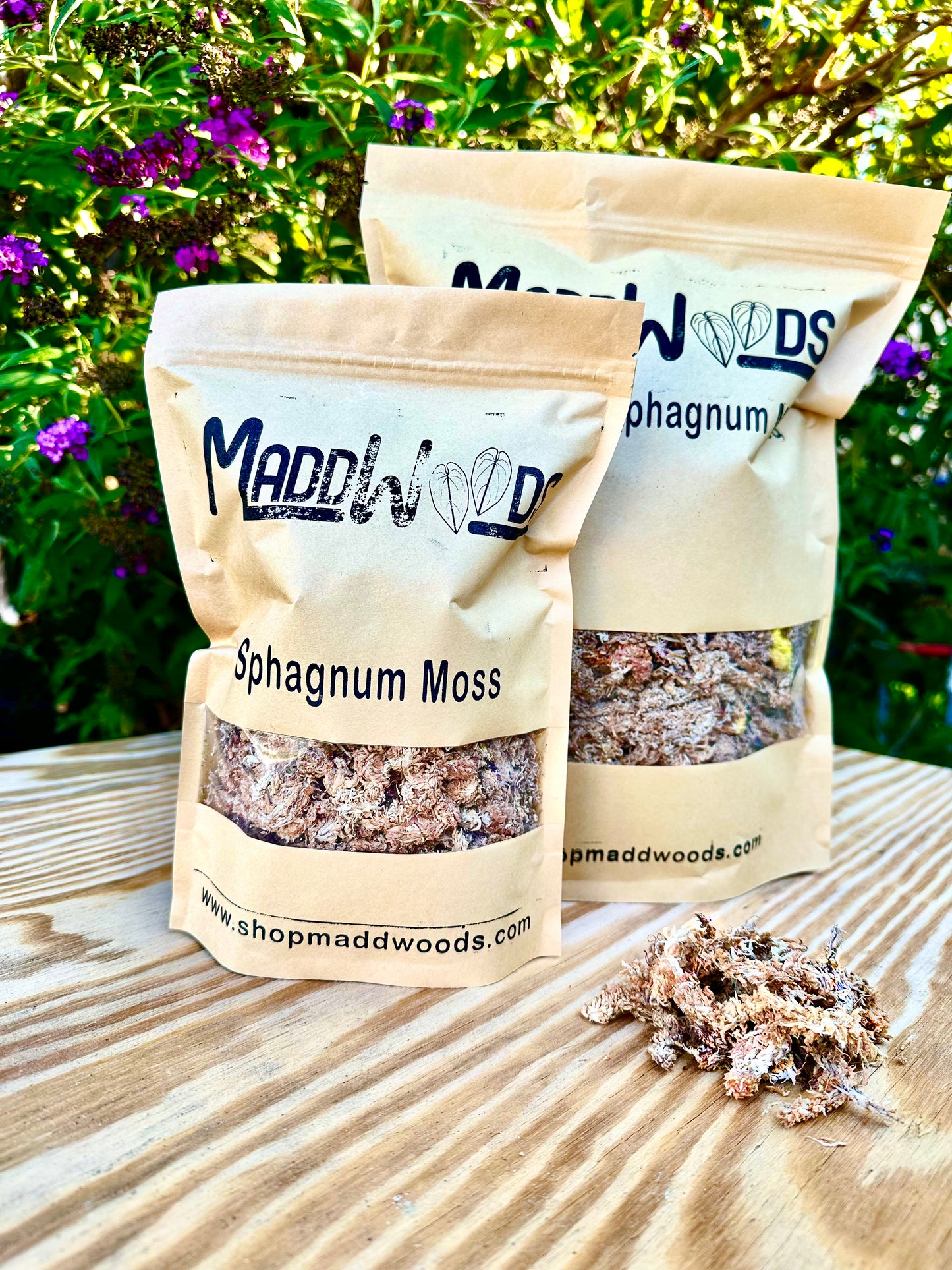 Sphagnum Moss - Maddwoods