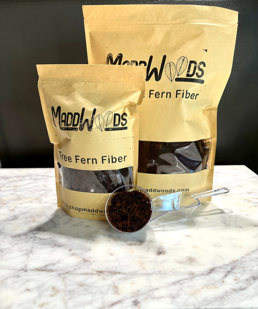Tree Fern Fiber - Maddwoods