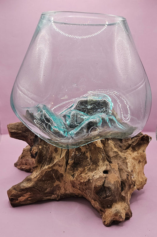 Small/Medium Teak Root Driftwood and Molten Glass Terrarium- Single Globe