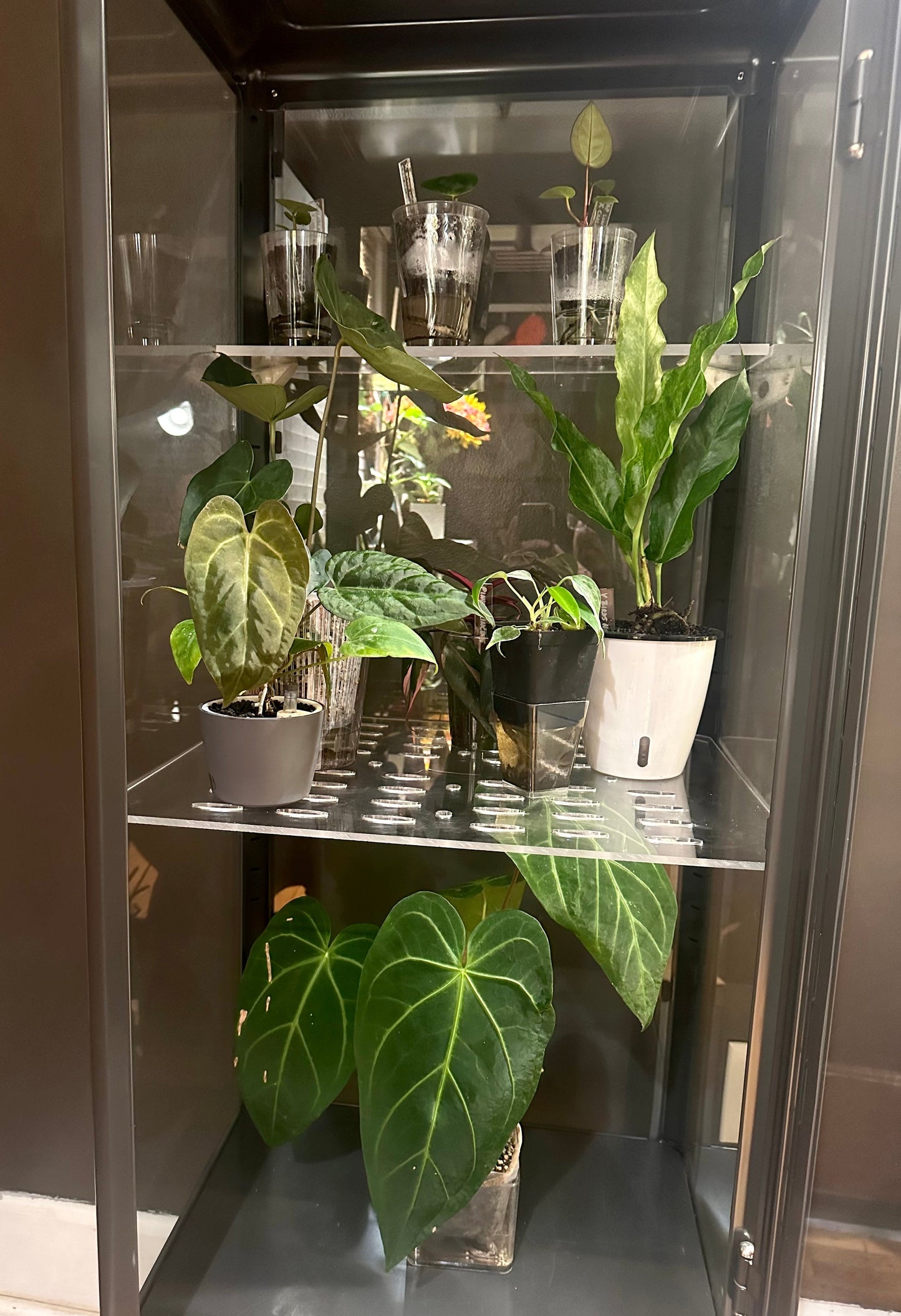 Fabrikor Wide Slim HALF Back Shelf - Maddwoods