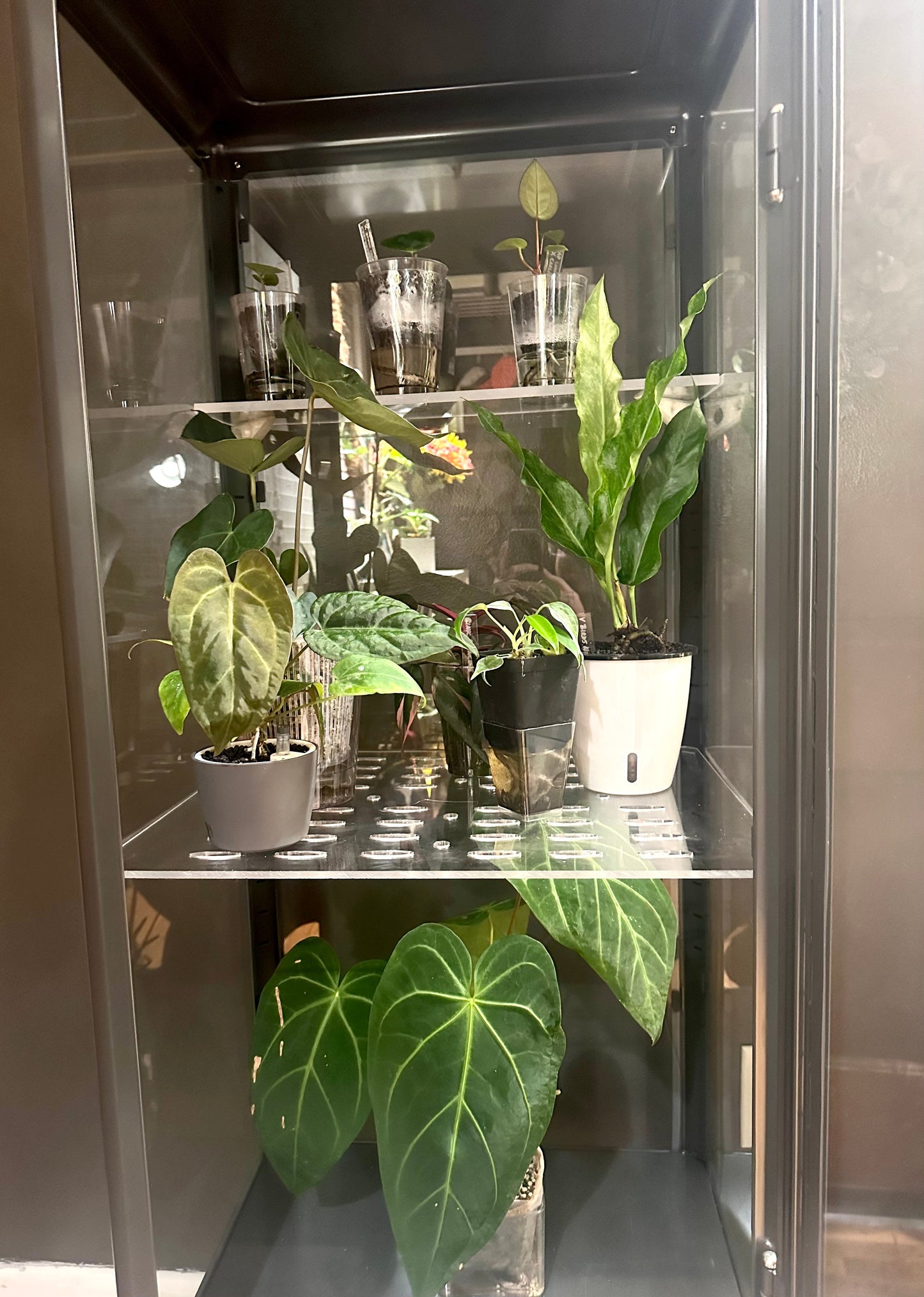 Fabrikor Wide Slim Full Back Shelf - Maddwoods