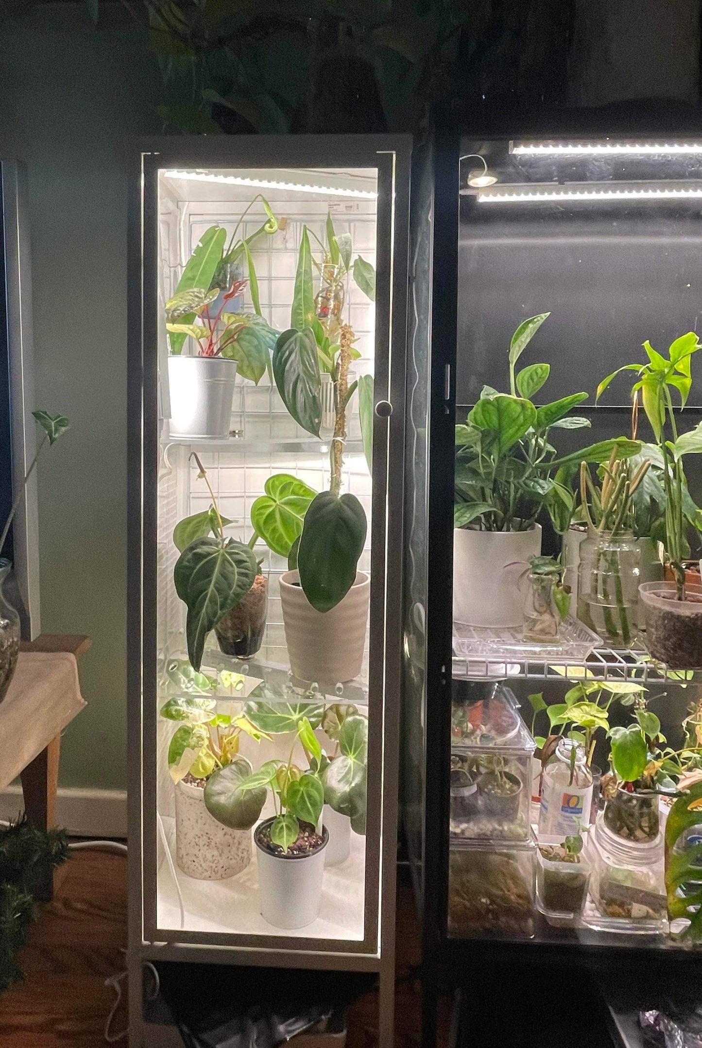 Baggebo Corner Shelf - Maddwoods