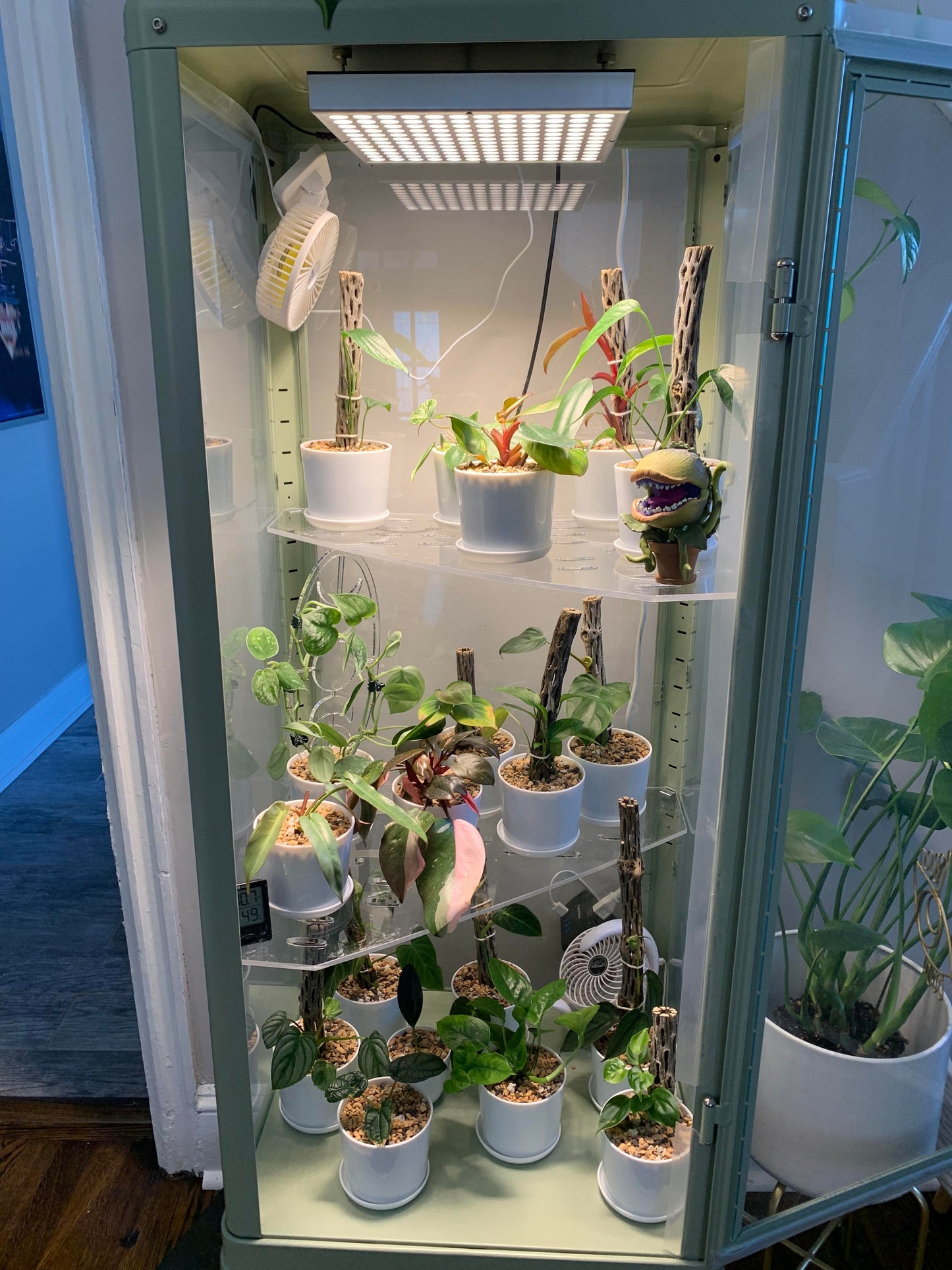 Fabrikor Tall Corner Shelf - Maddwoods