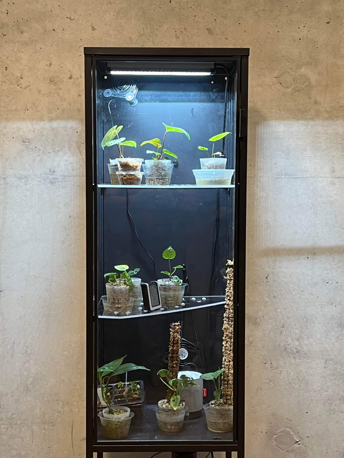Rudsta Tall Full Shelf - Maddwoods