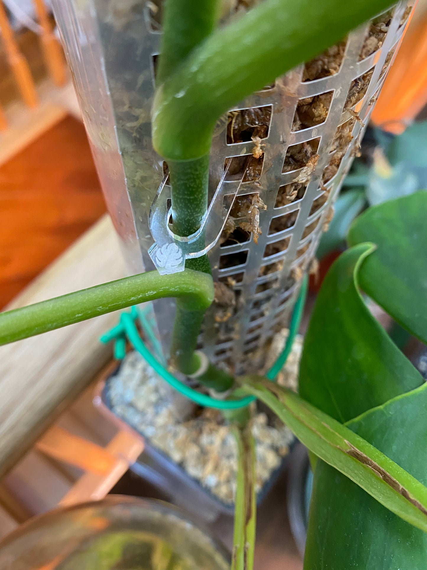 Pole and Stake Pins - Maddwoods