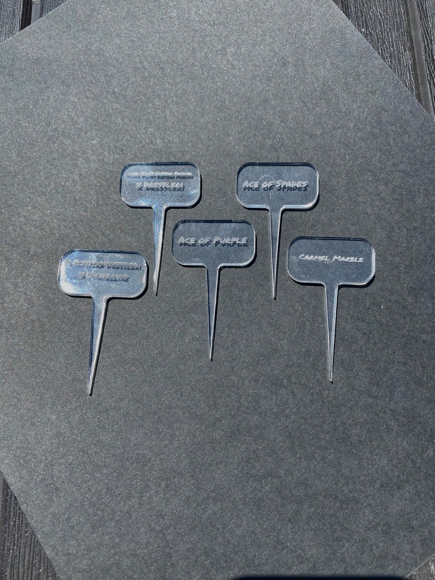 Wide Plant Tags - Maddwoods