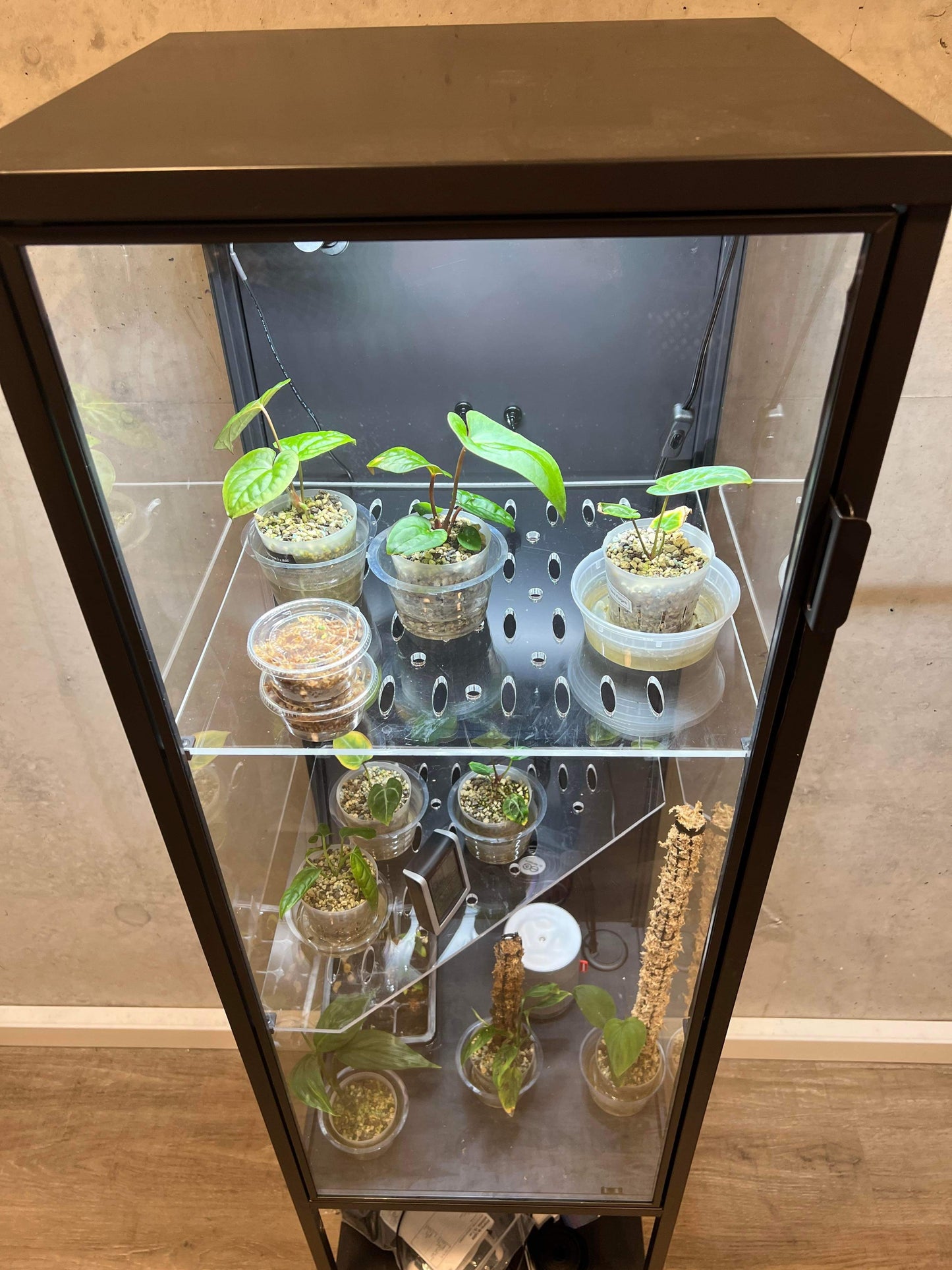 Rudsta Tall Corner Shelf - Maddwoods