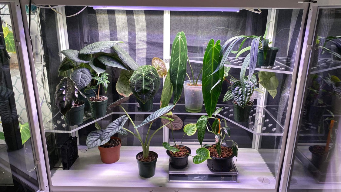 Milsbo Wide Wrap Around Corners Shelf - Maddwoods