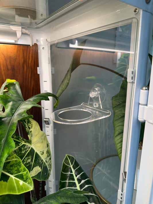 Suction Cup Round Pot Holders - Maddwoods