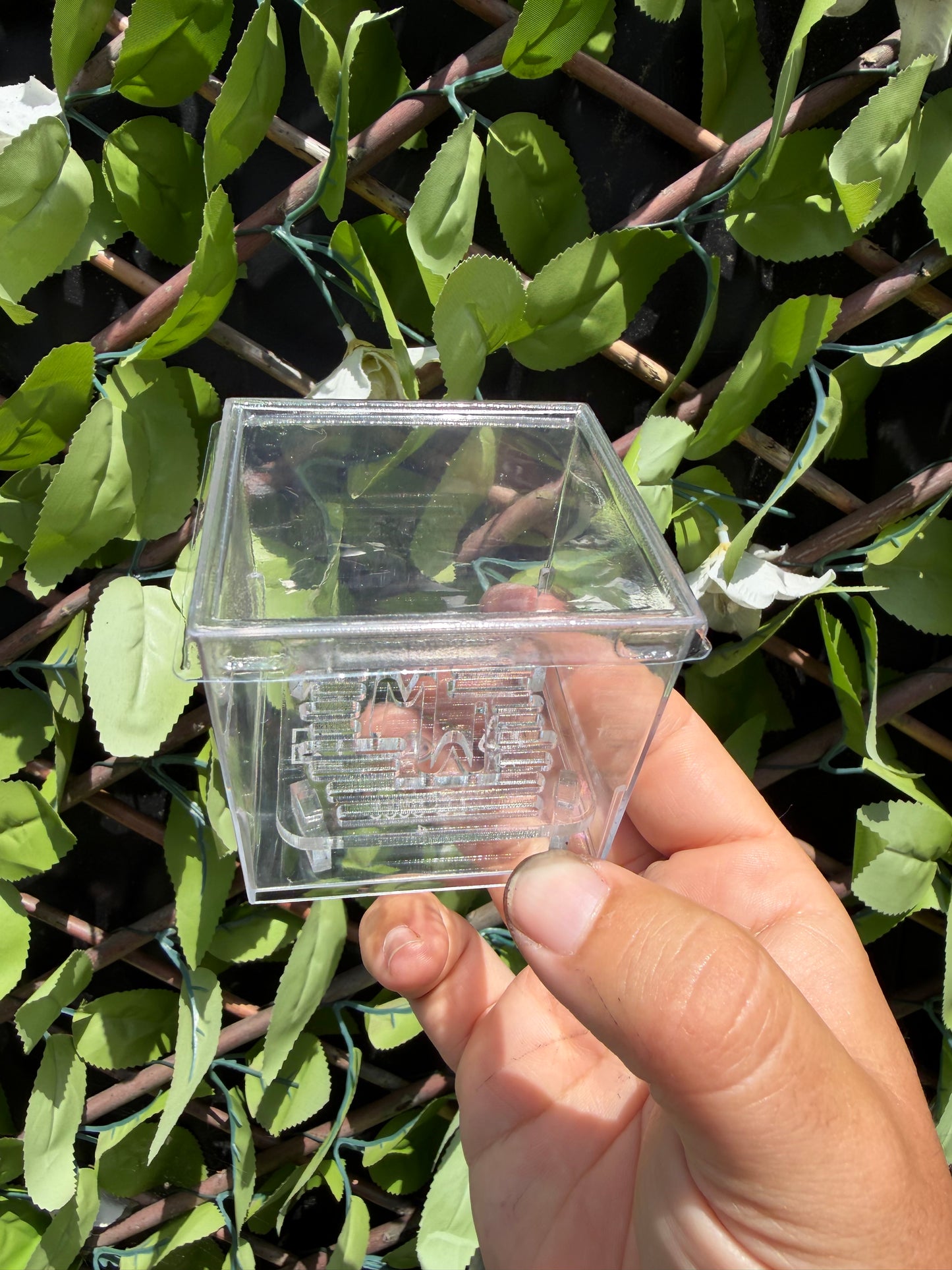 Corm Cube Propagation Case