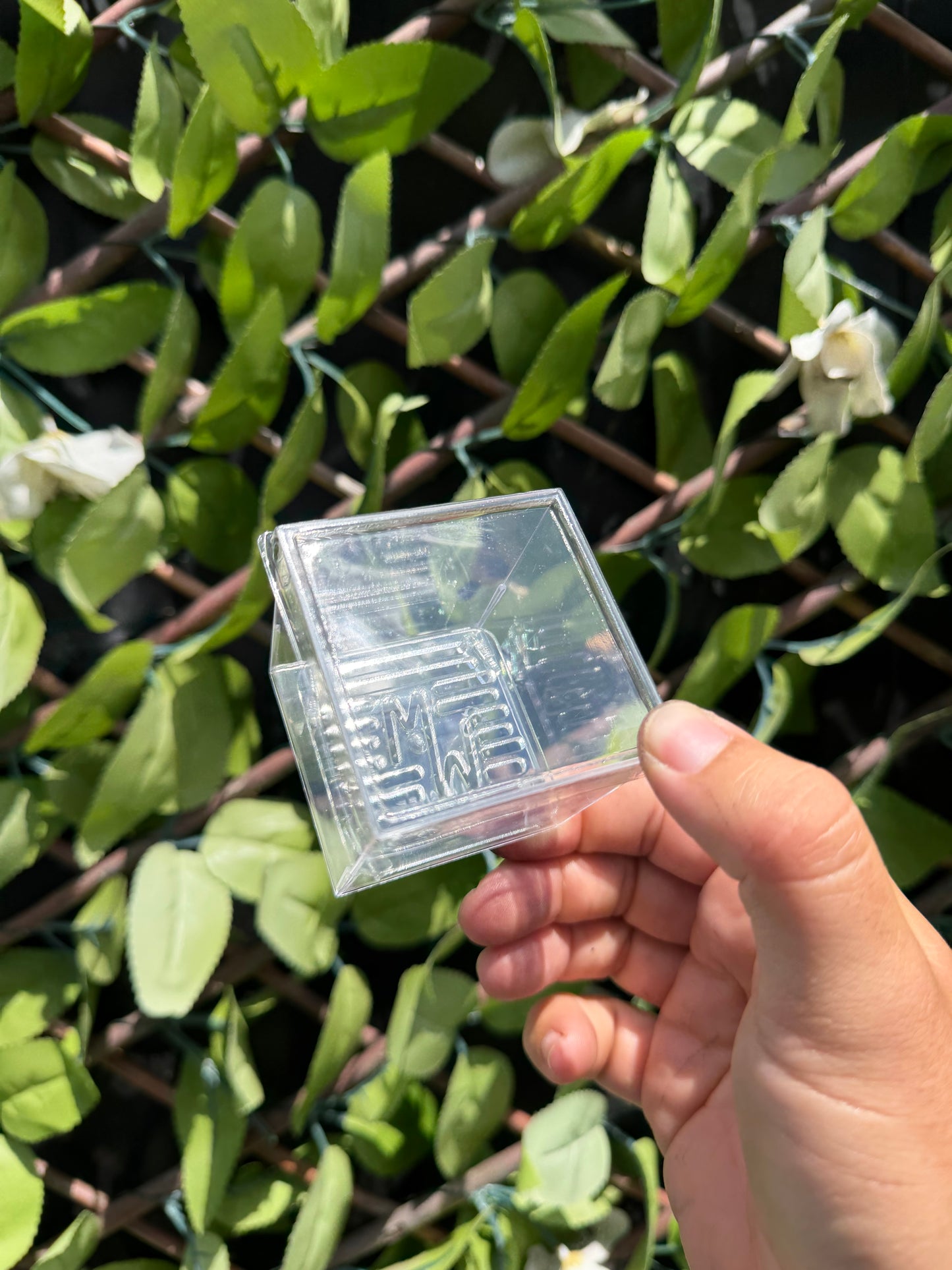 Corm Cube Propagation Case