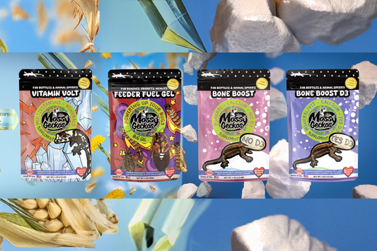 4 Pack of Supplements