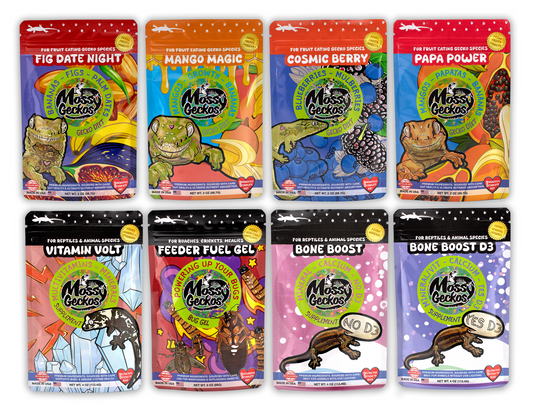 8 Pack Mossy Geckos Protocol