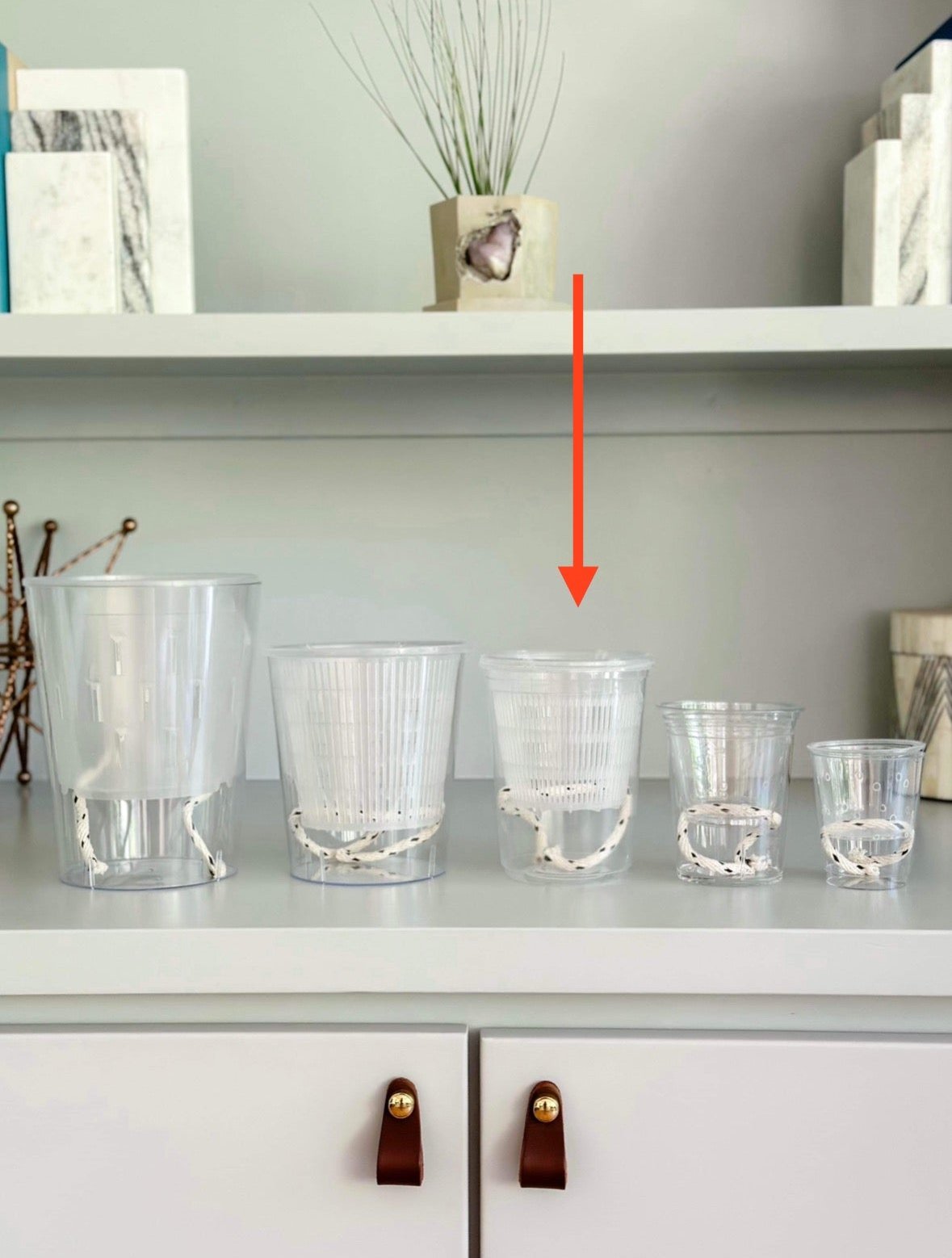 self watering white planter Clear Self Watering Pots – Maddwoods