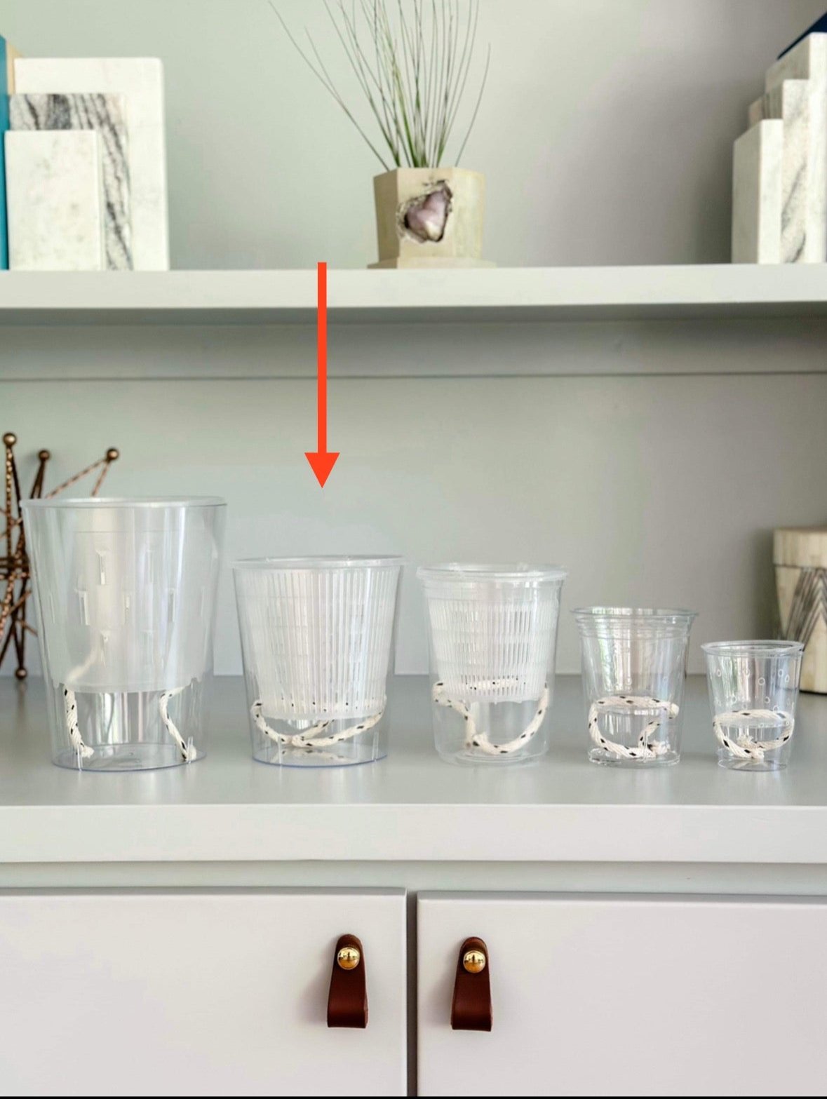 self watering bowl planter Clear Self Watering Pots