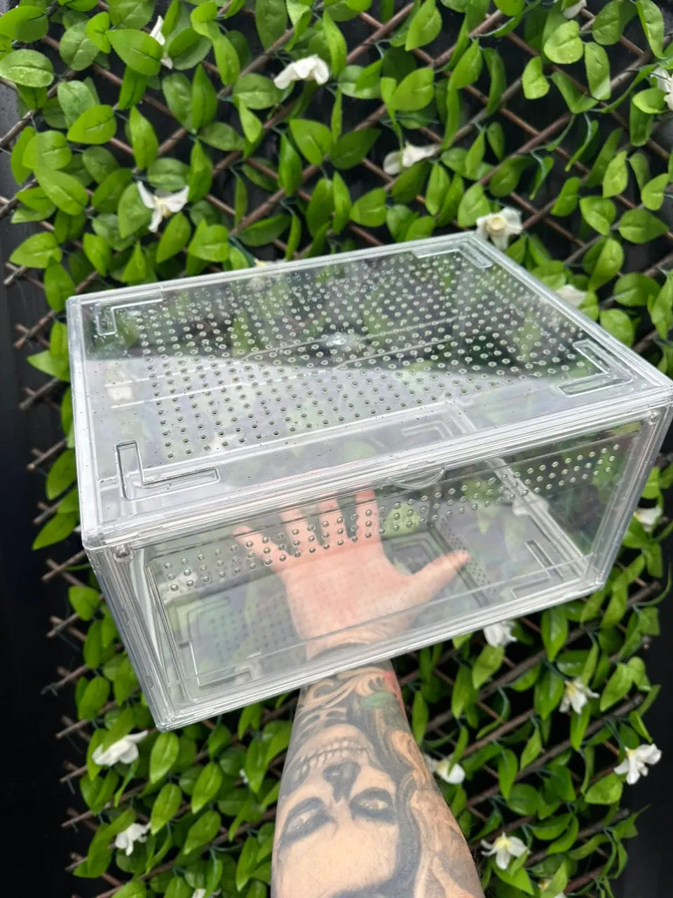 Terrestrial Enclosure