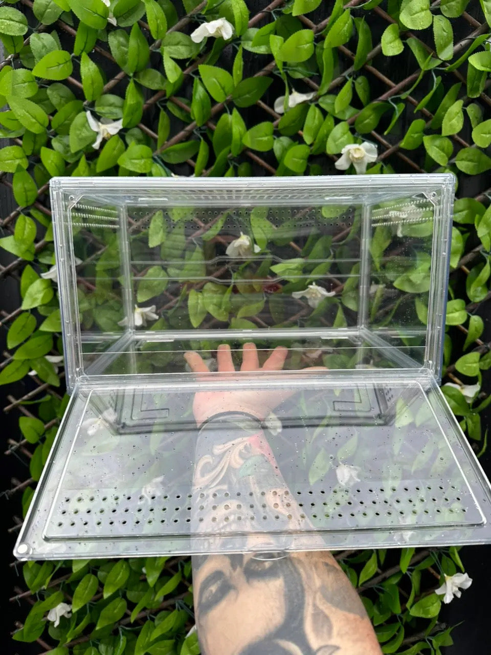 Terrestrial Enclosure