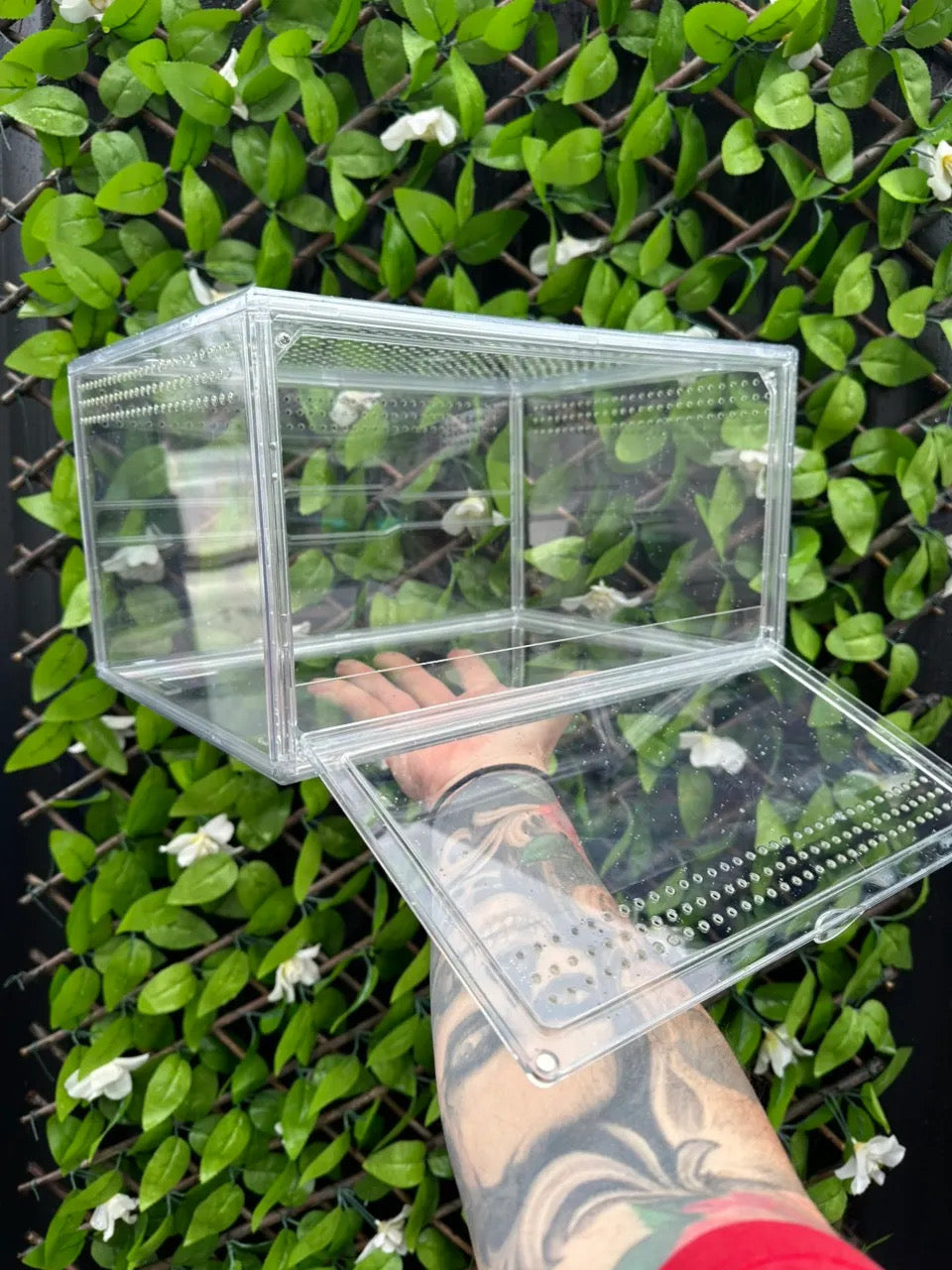 Terrestrial Enclosure