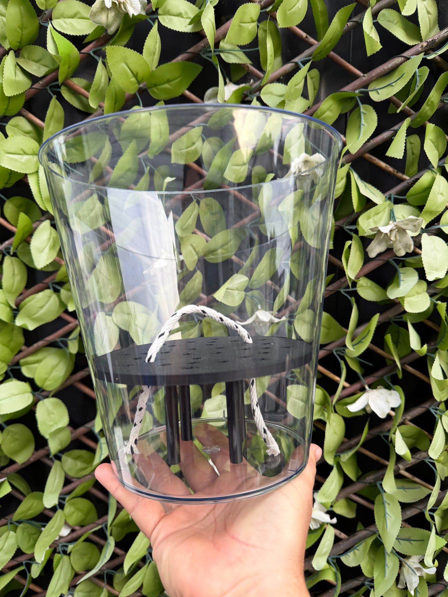 XXL Clear Self Watering Pot