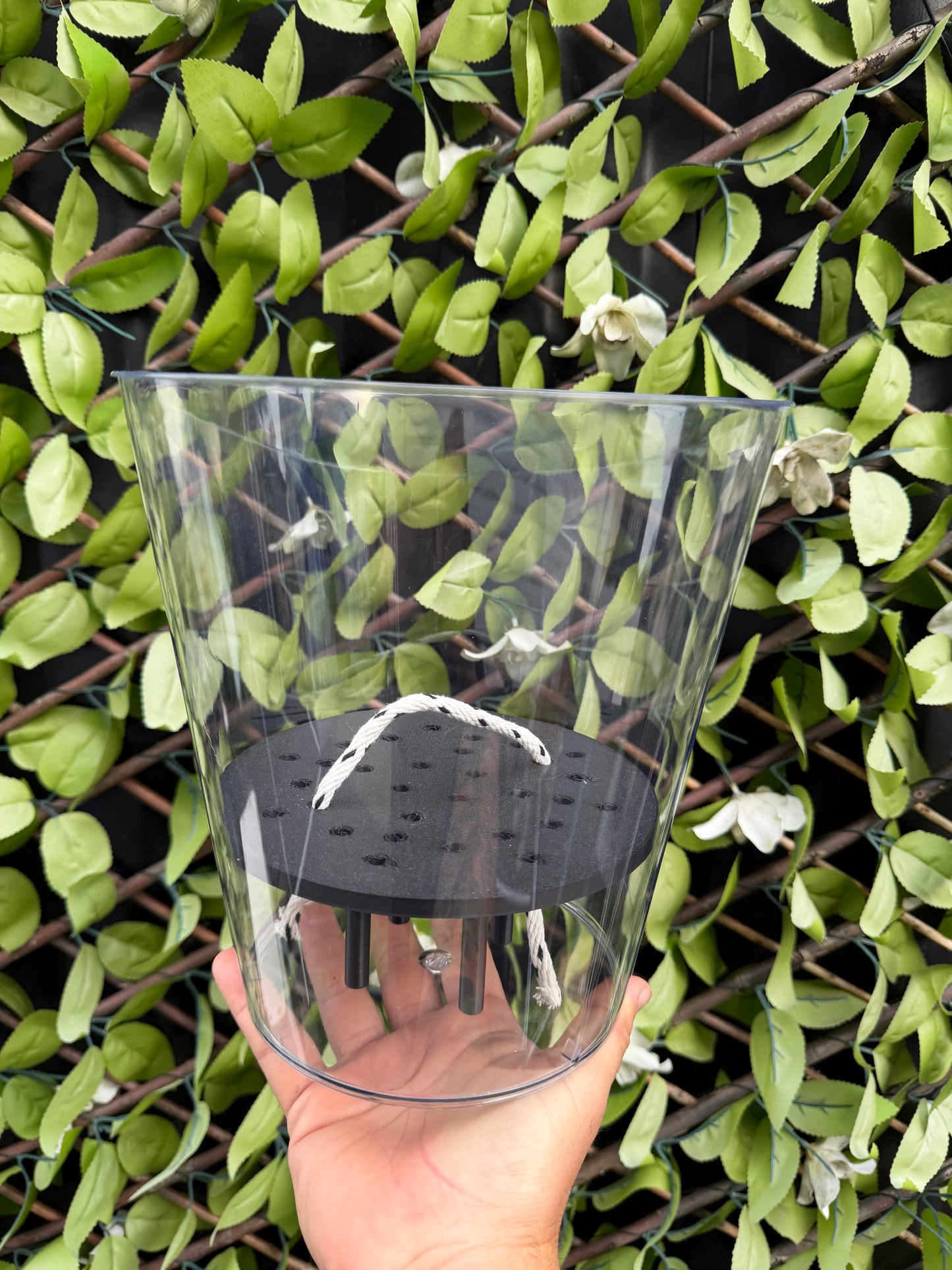 XXL Clear Self Watering Pot