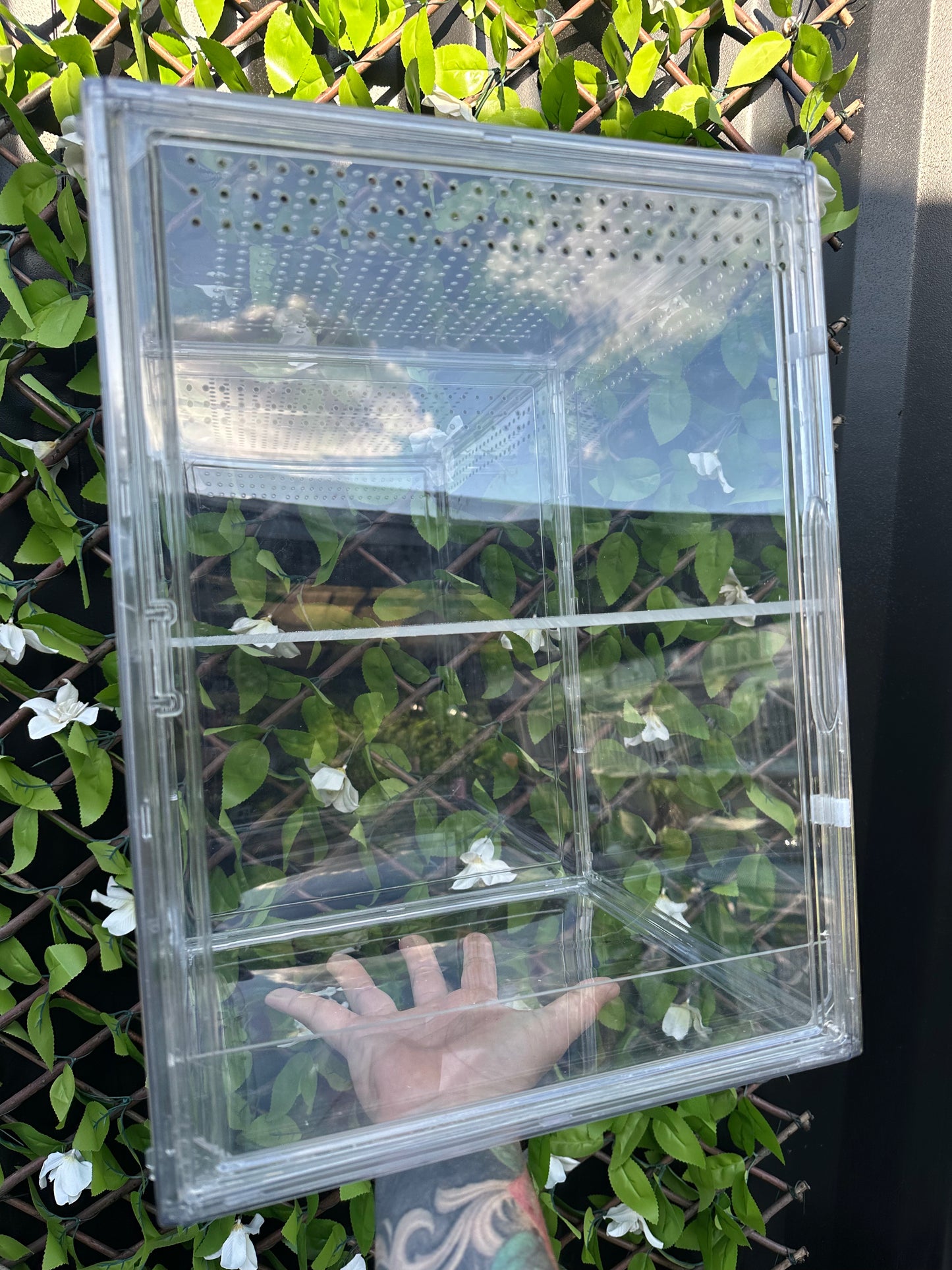 Mini Green House Cabinet