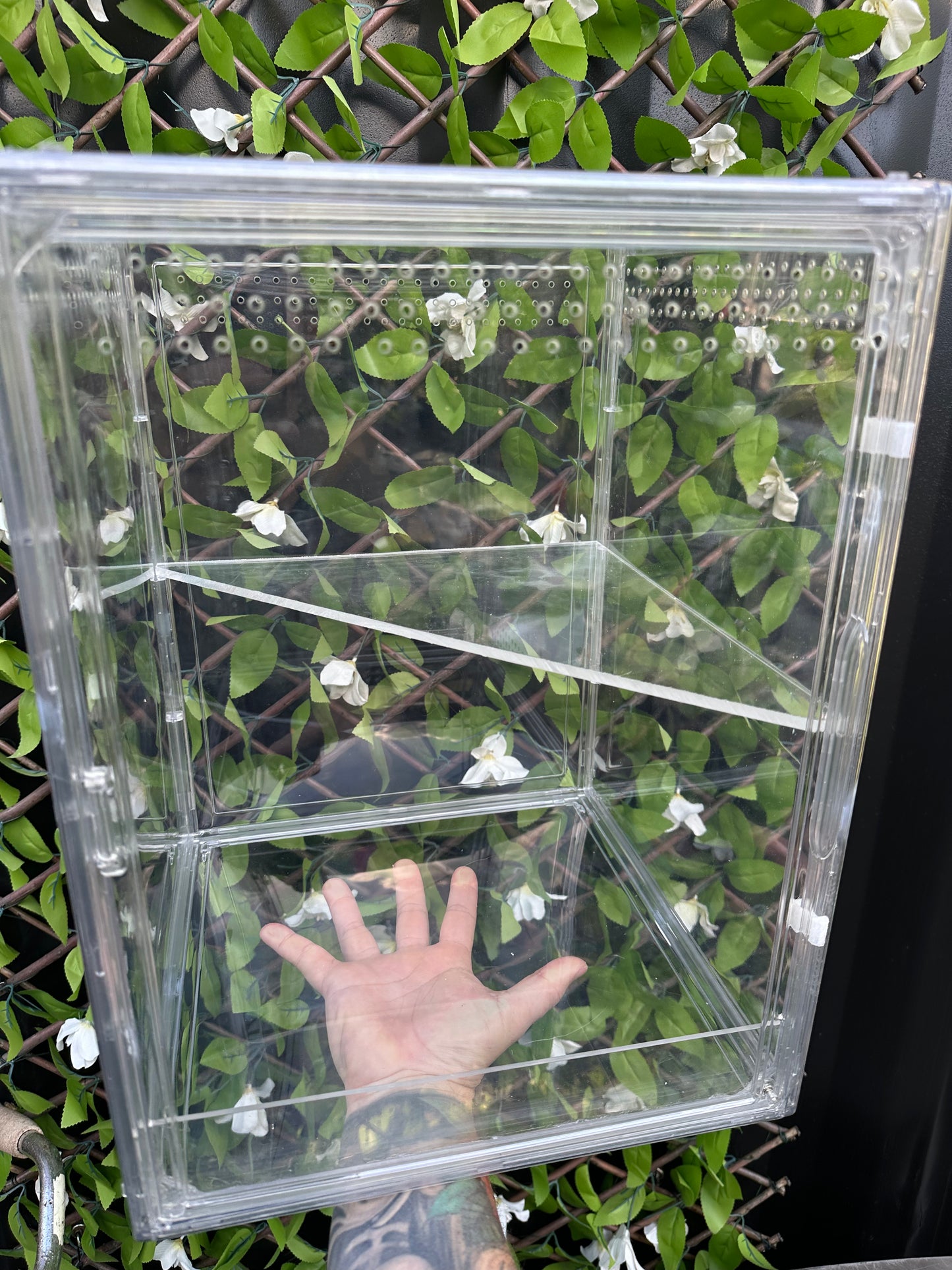 Mini Green House Cabinet