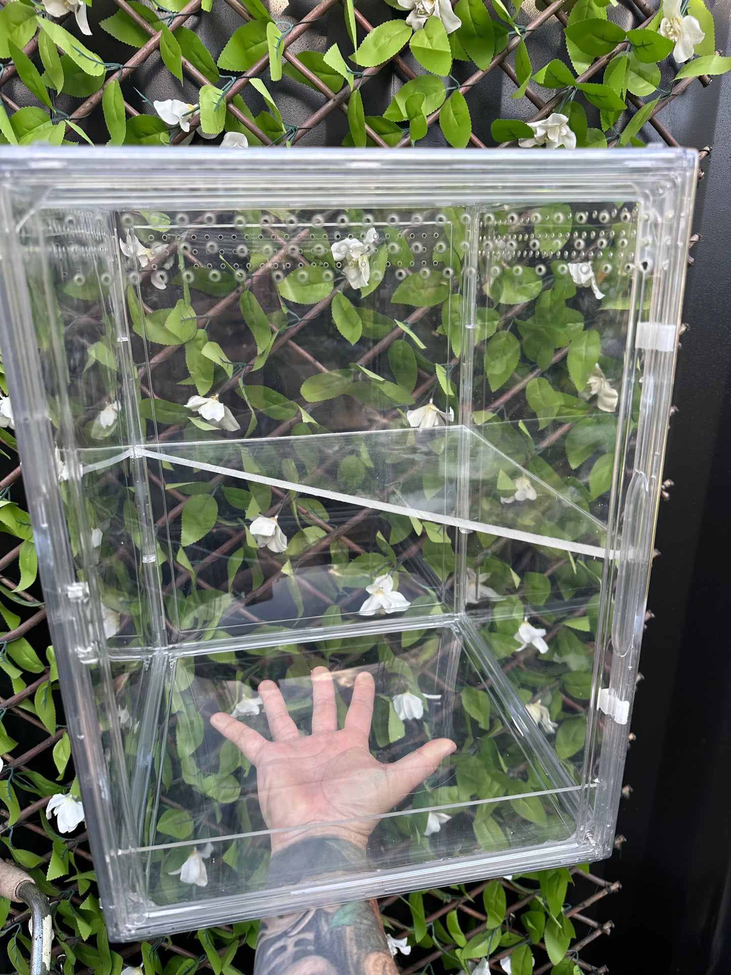 Mini Green House Cabinet