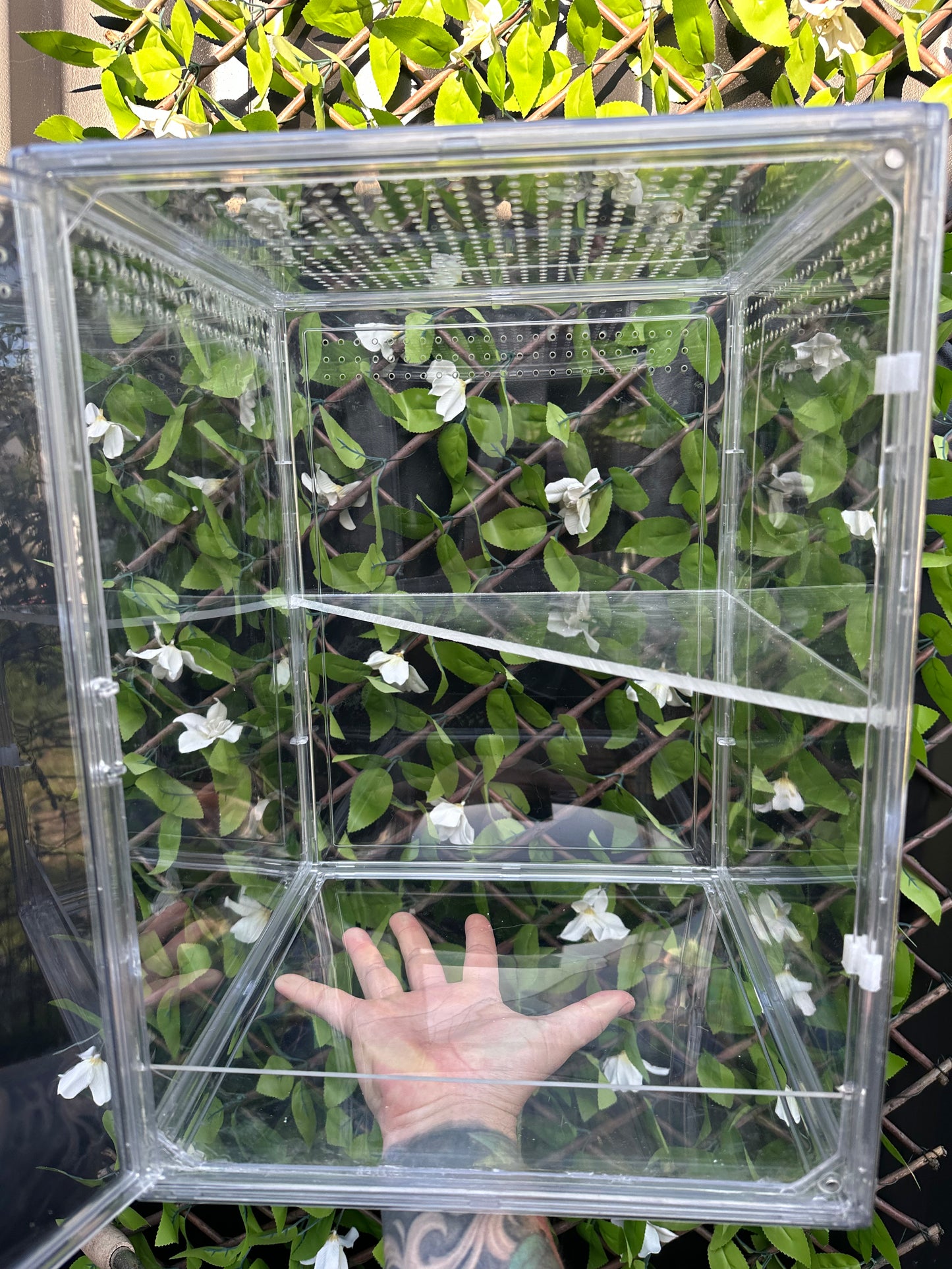 Mini Green House Cabinet