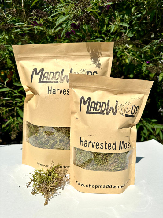 Harvested Moss
