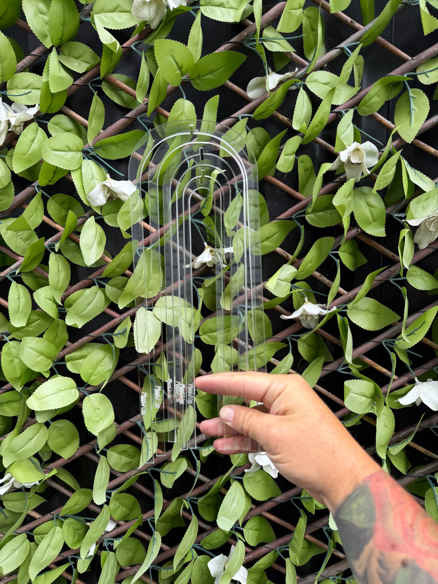 Trellis Cage U Shape 3 set