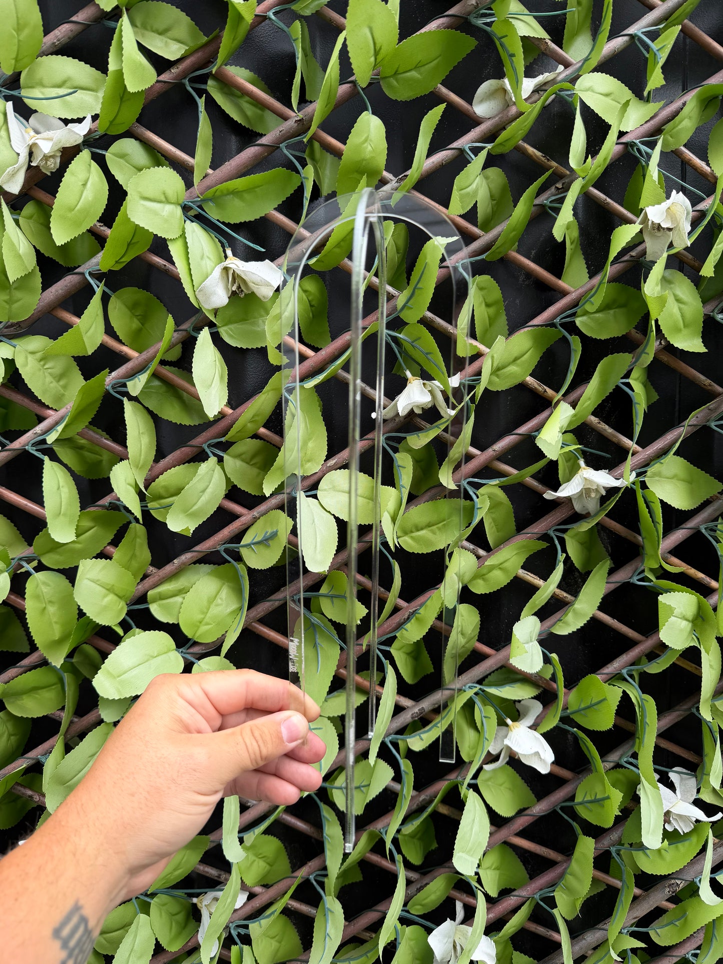 Trellis Cage U Shape 3 set