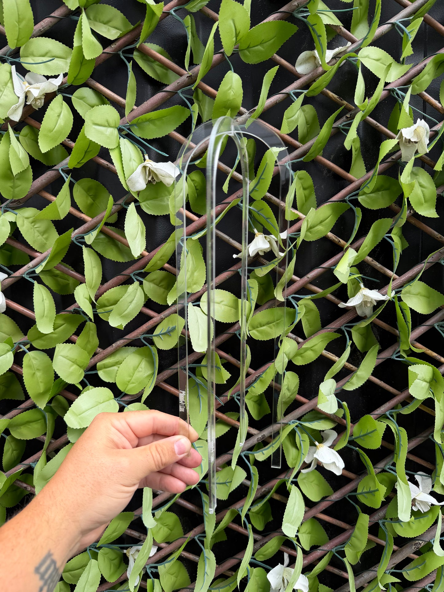 Trellis Cage U Shape 3 set