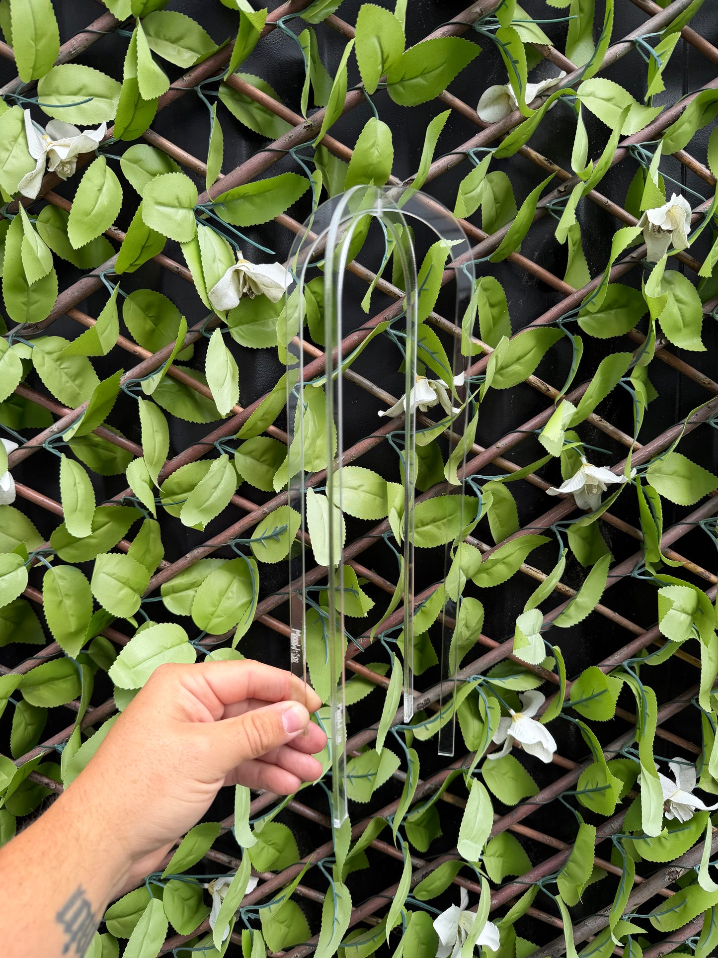 Trellis Cage U Shape 3 set