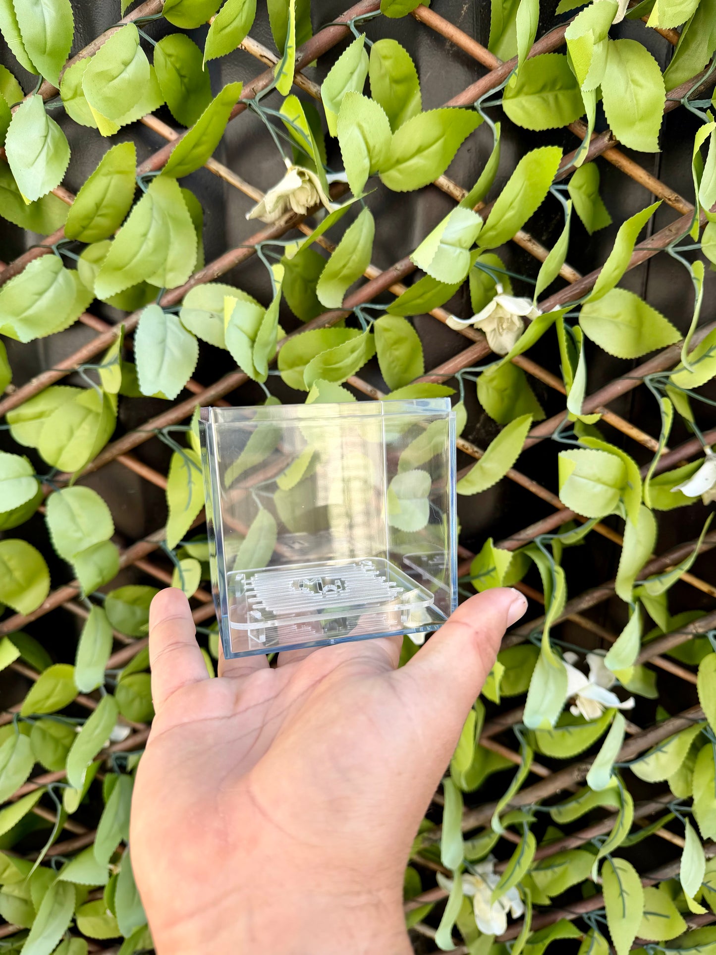 Corm Raisers Mansion Propagation Cube