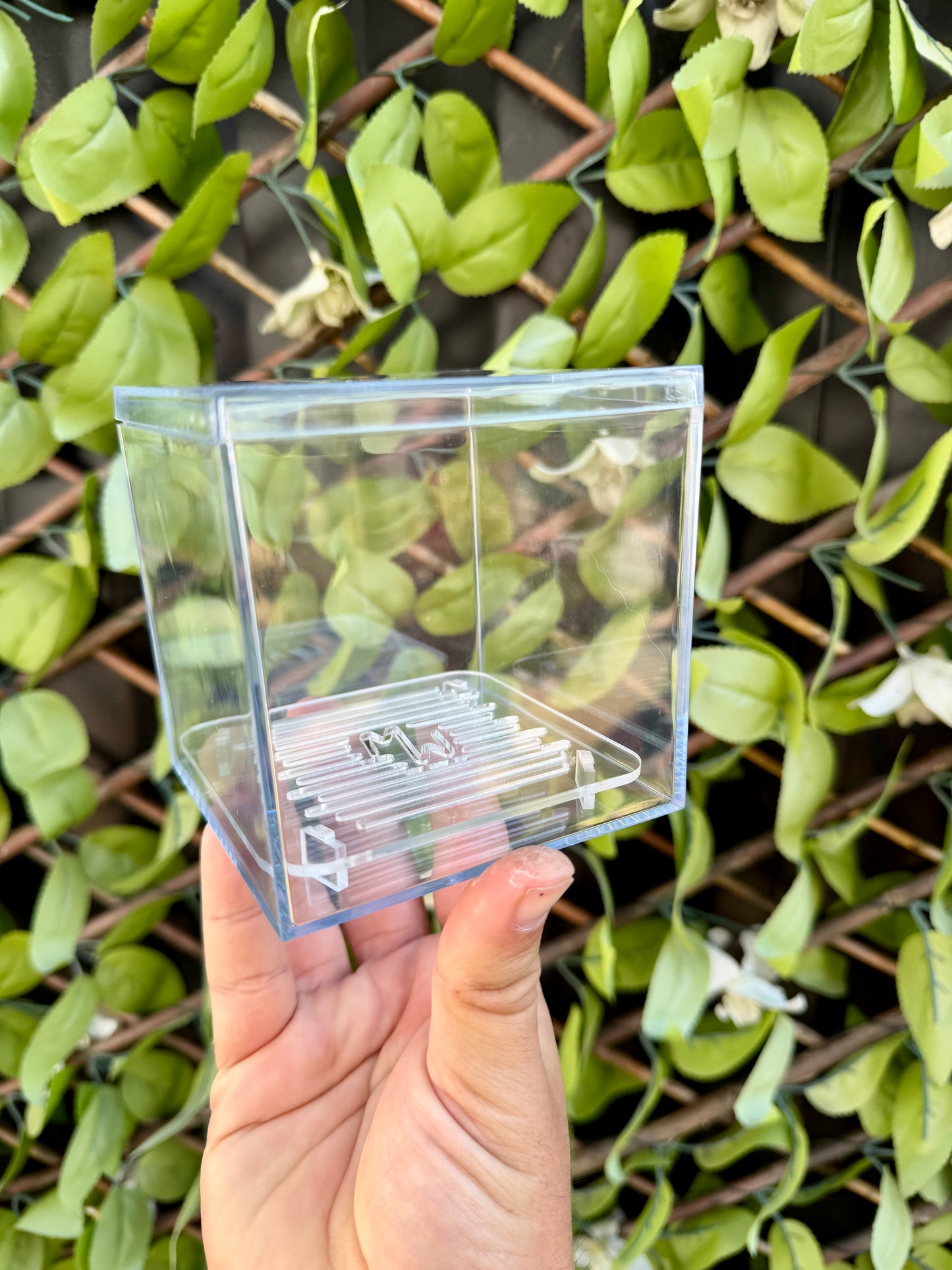 Corm Raisers Mansion Propagation Cube