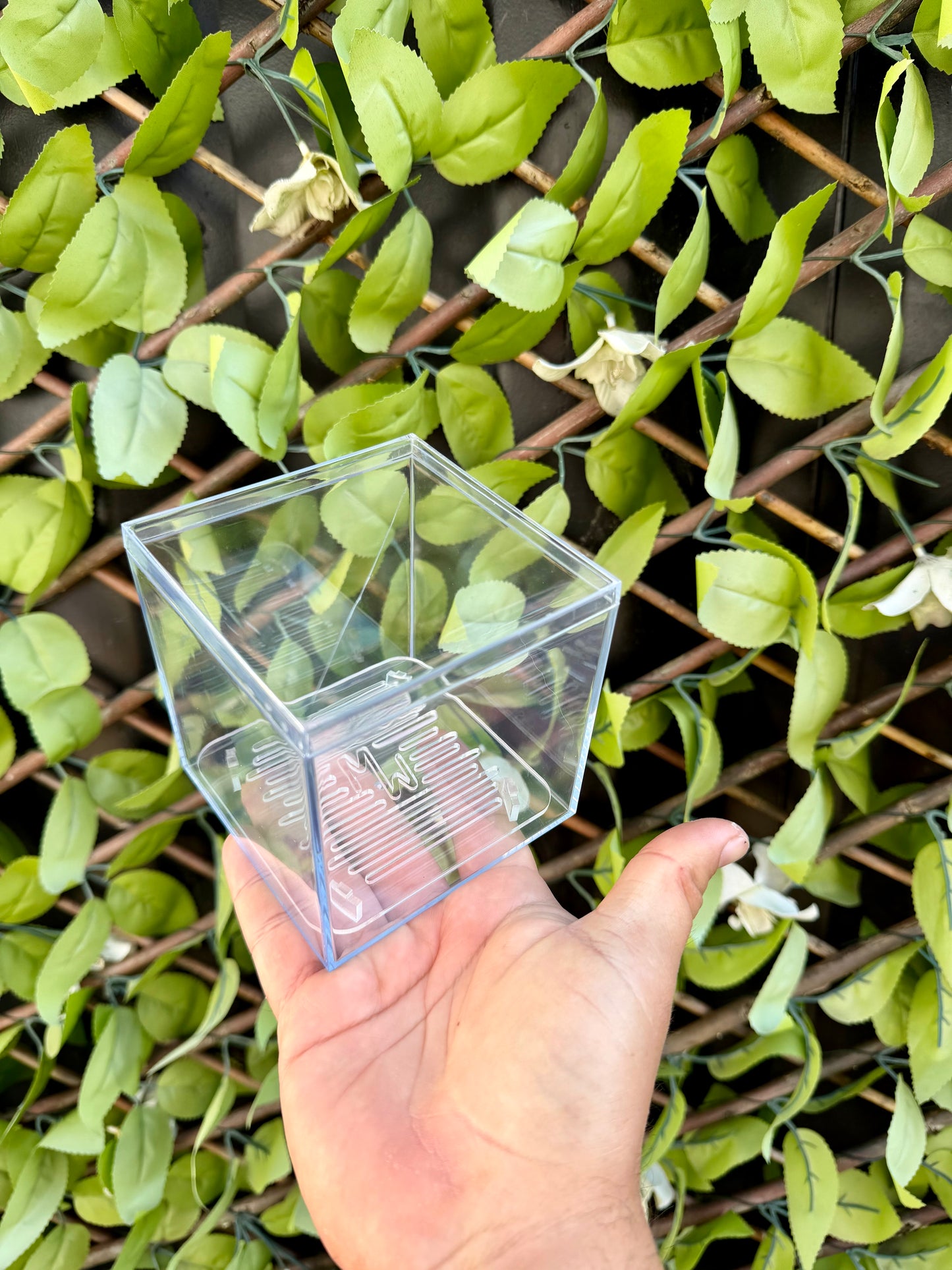 Corm Raisers Mansion Propagation Cube
