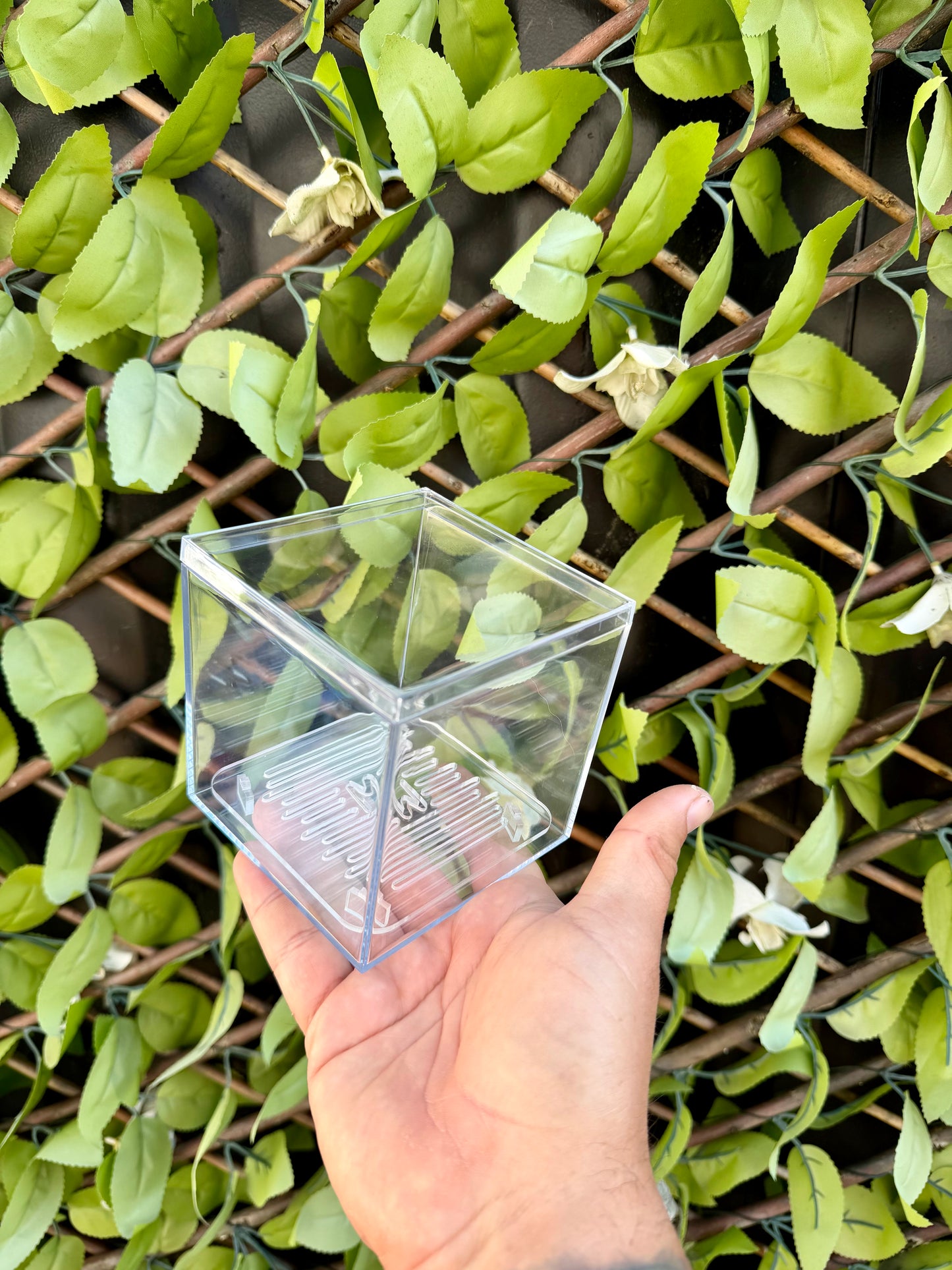 Corm Raisers Mansion Propagation Cube