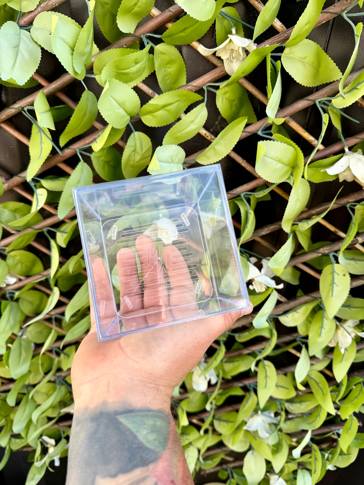 Corm Raisers Mansion Propagation Cube