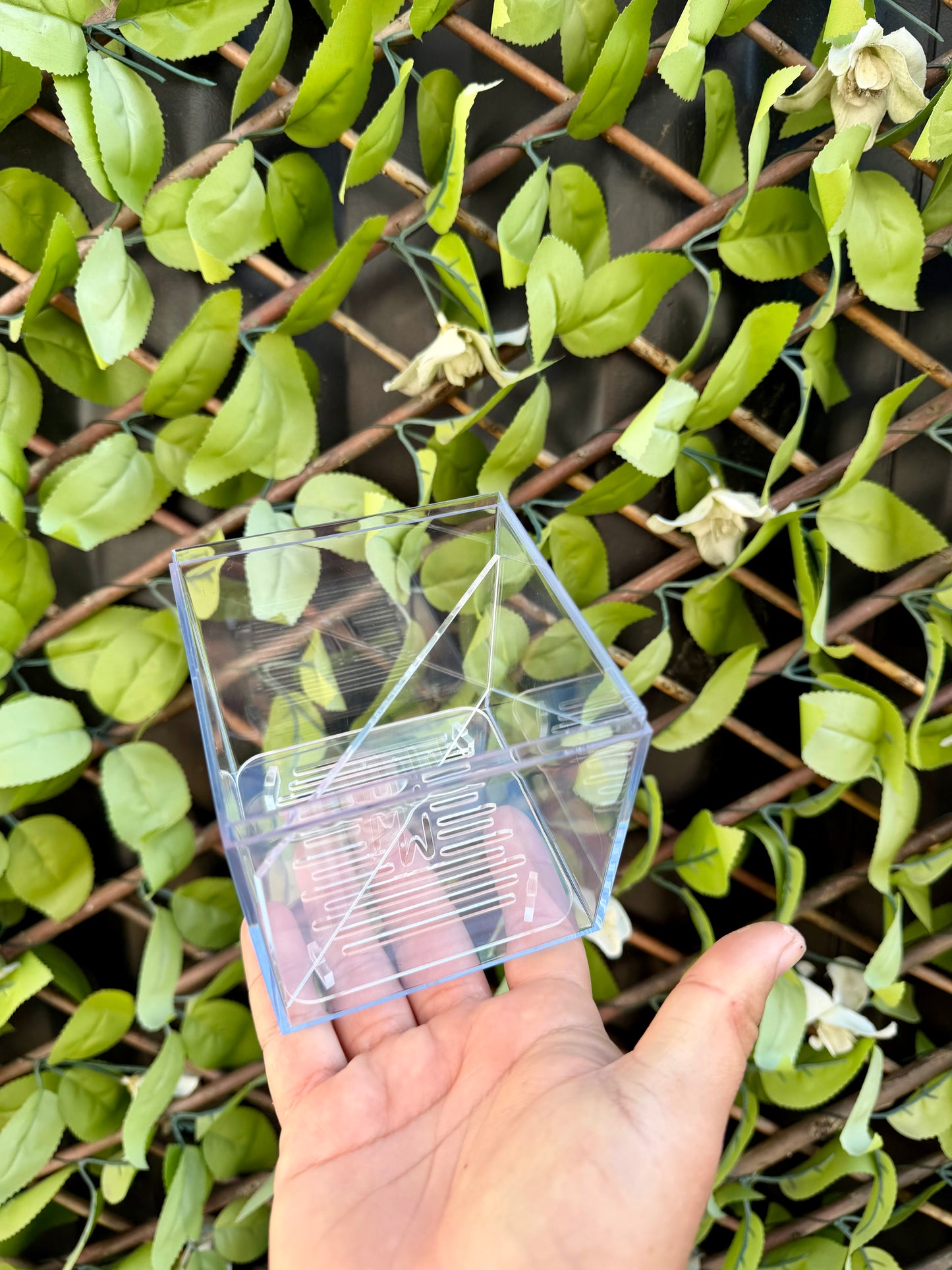 Corm Raisers Mansion Propagation Cube