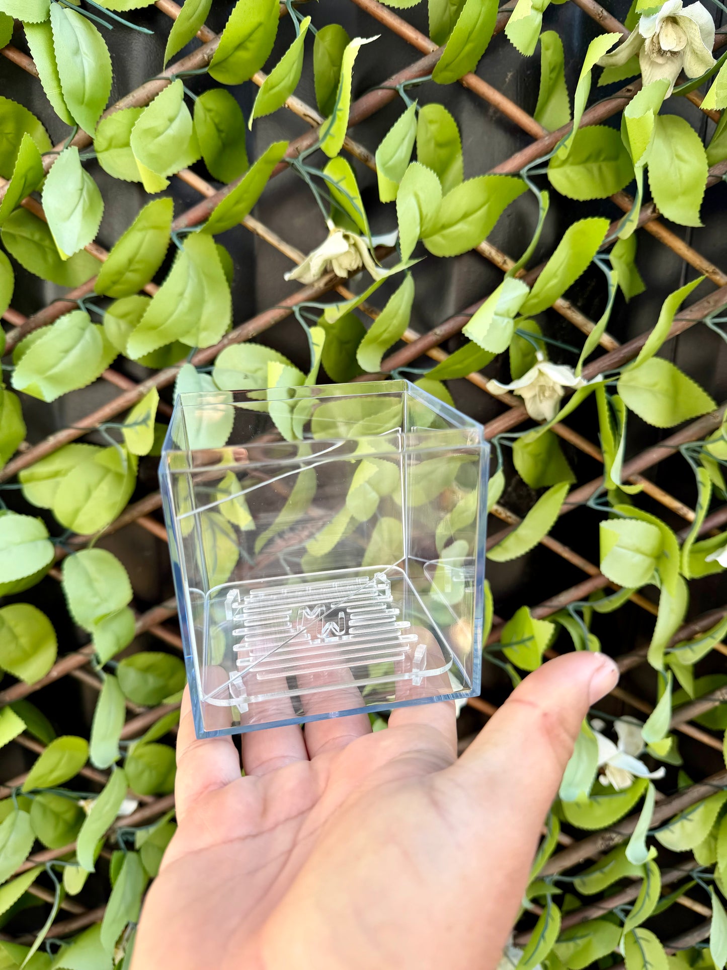 Corm Raisers Mansion Propagation Cube