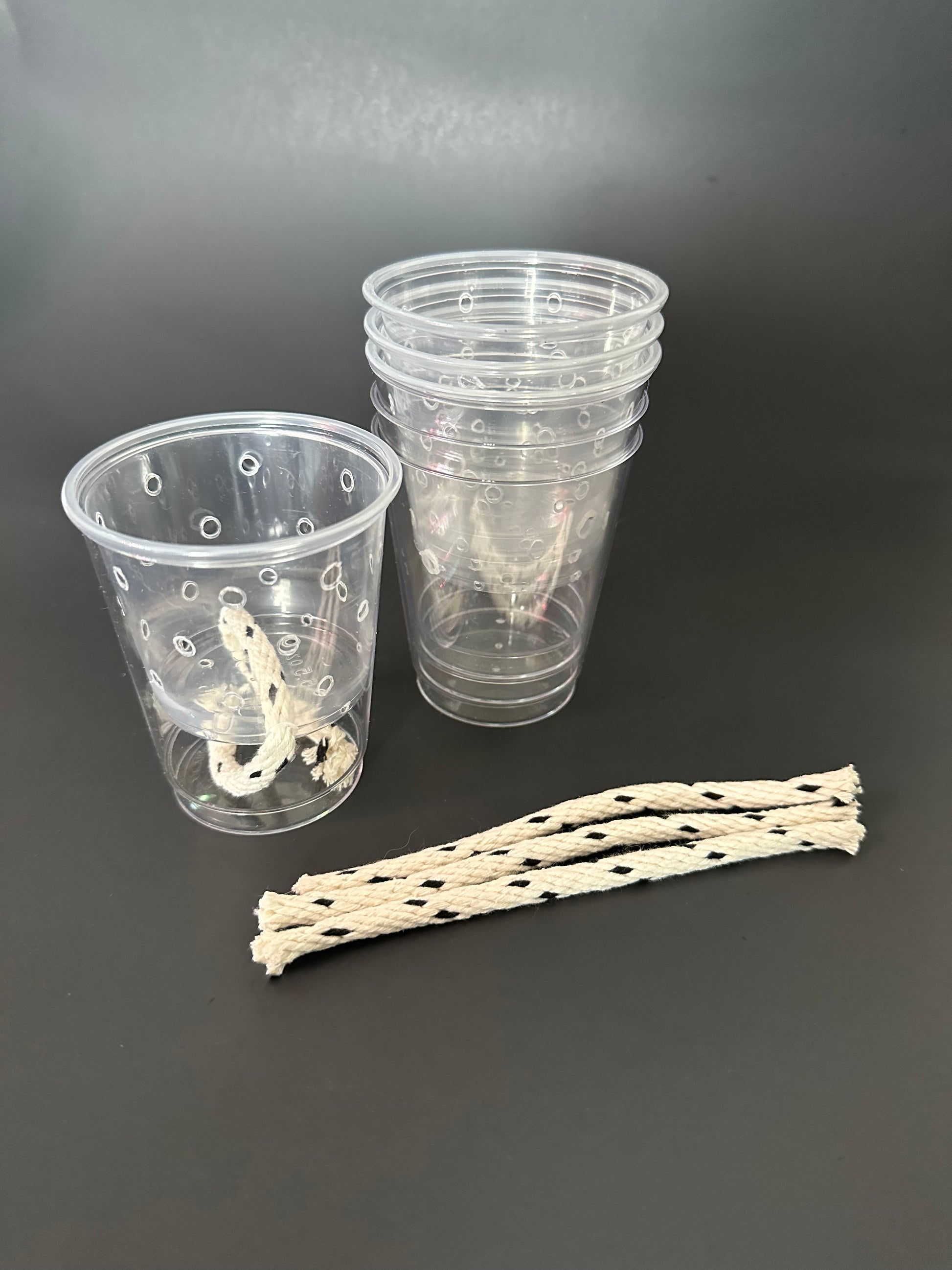 clear self watering planter Mini Clear Self Watering Pots