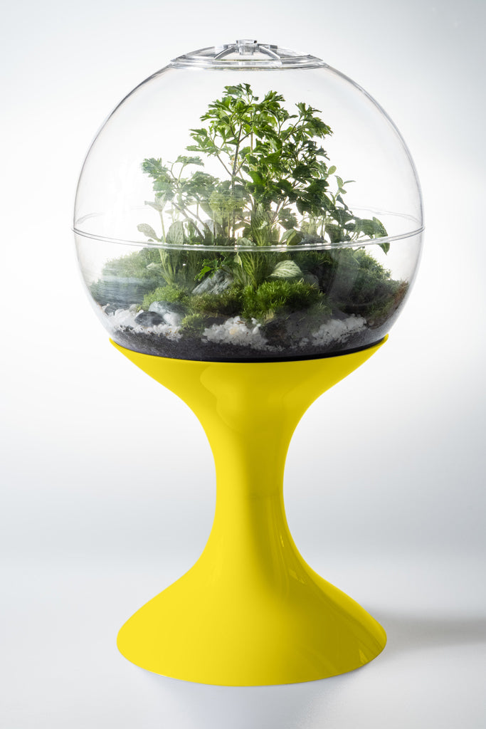 Kweekfles terrarium, Betonnen bak Kweekfles terrarium, Betonnen bak