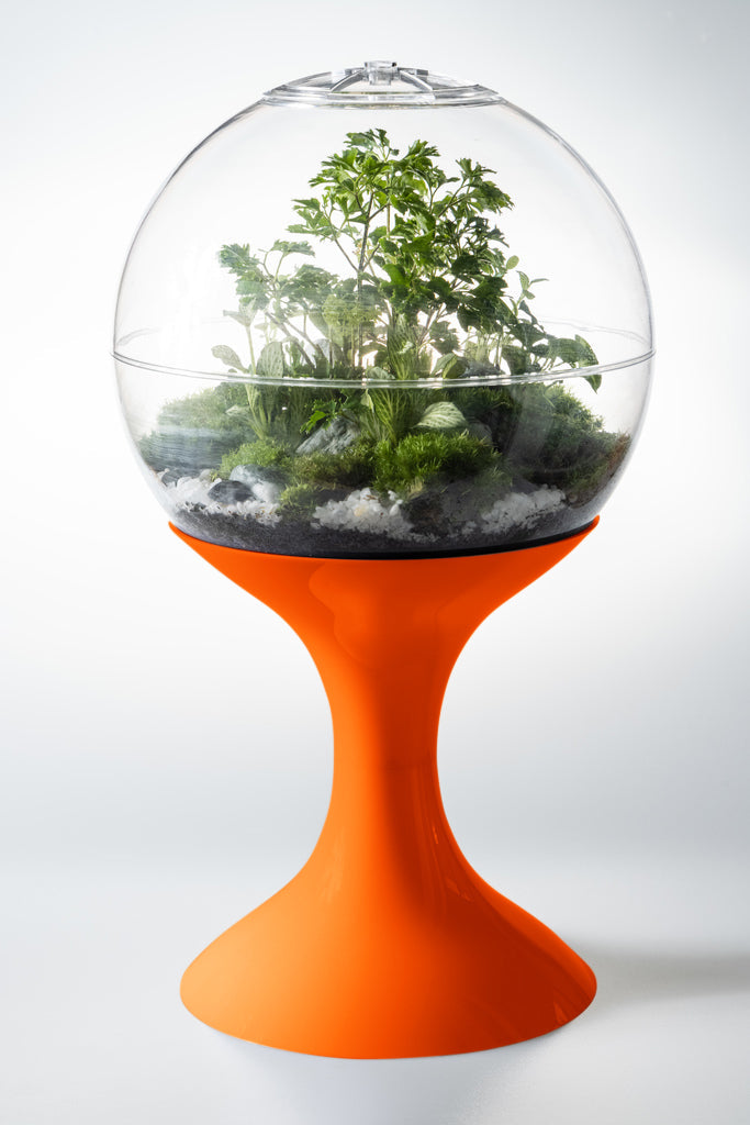 terrarium plant pots Atomic Space Age Terrarium – Maddwoods